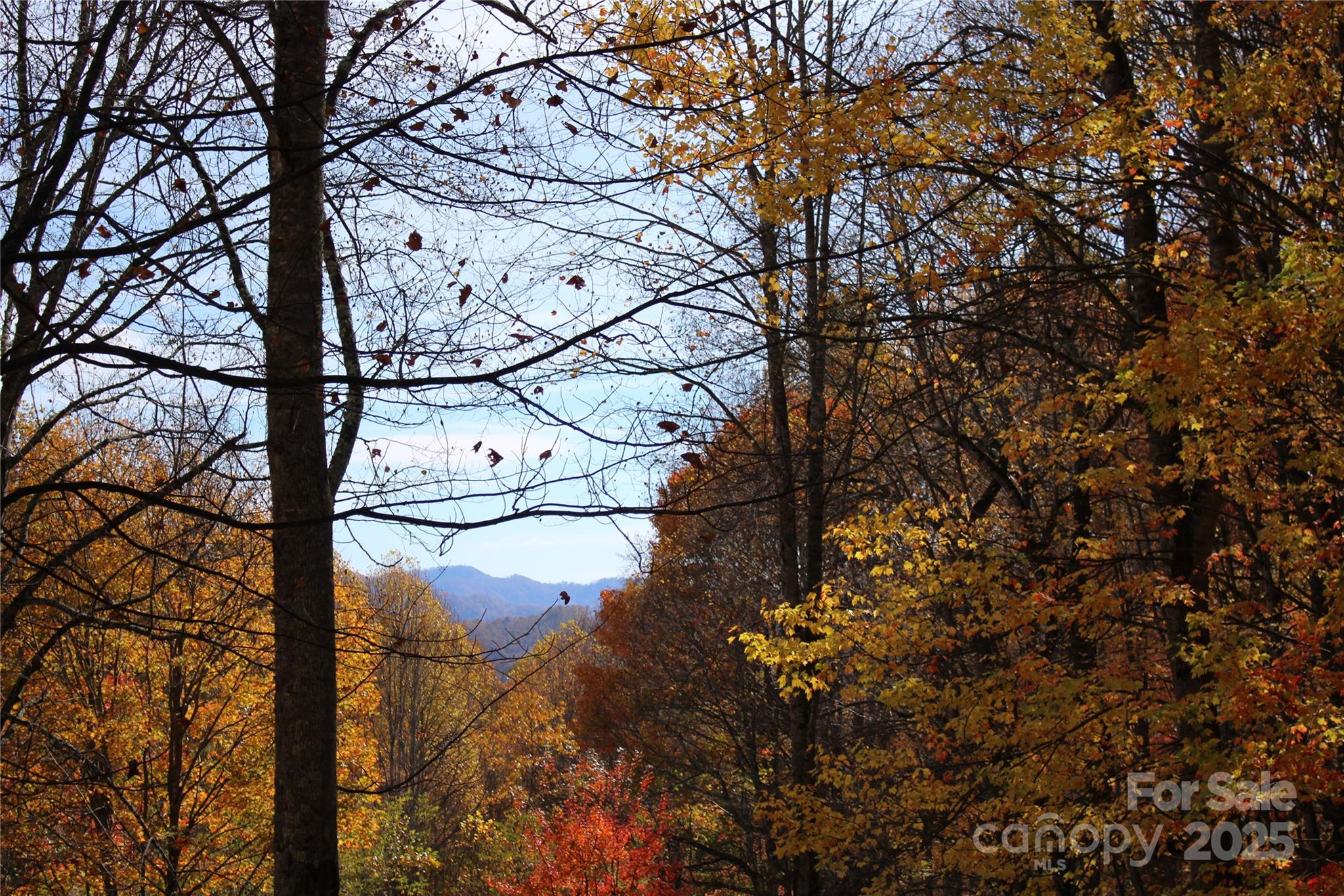 1571 Roaring Fork Road — Burnsville