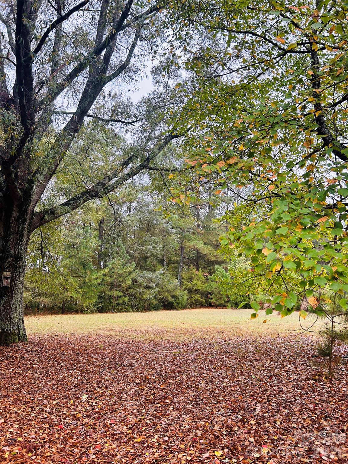 3324 Antioch Church Road — Weddington