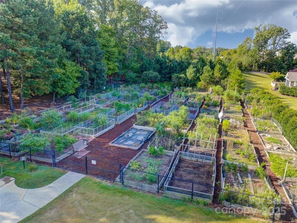 22156 E Tern Court — Indian Land