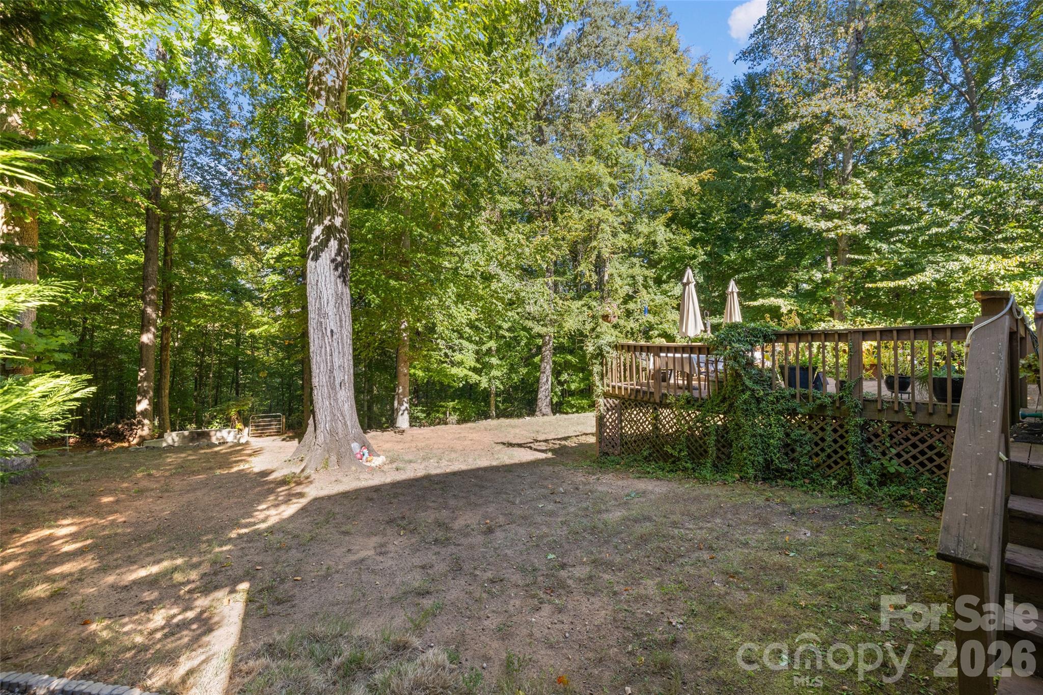 1326 Clifflure Lane — Fort Mill