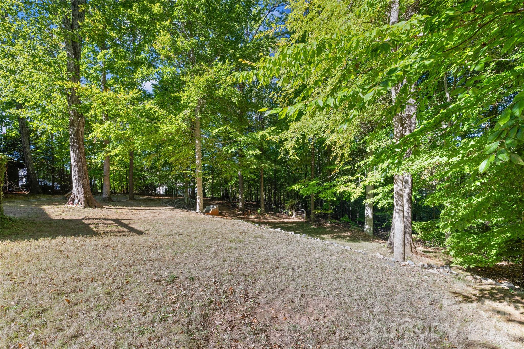 1326 Clifflure Lane — Fort Mill