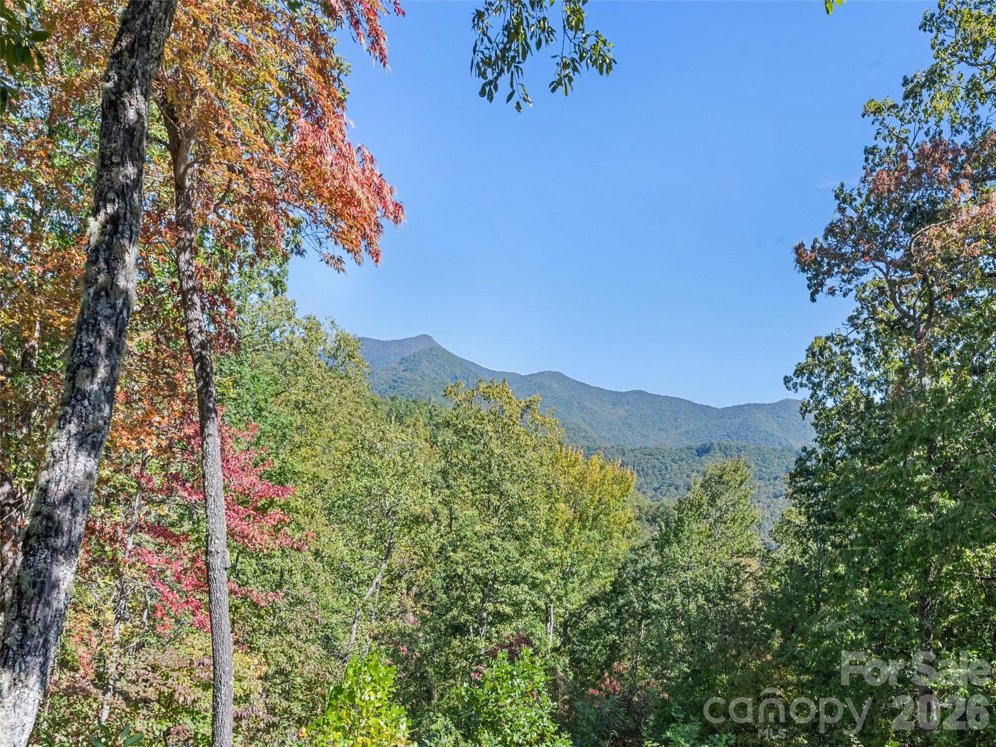 1635 Quest Ridge — Sylva