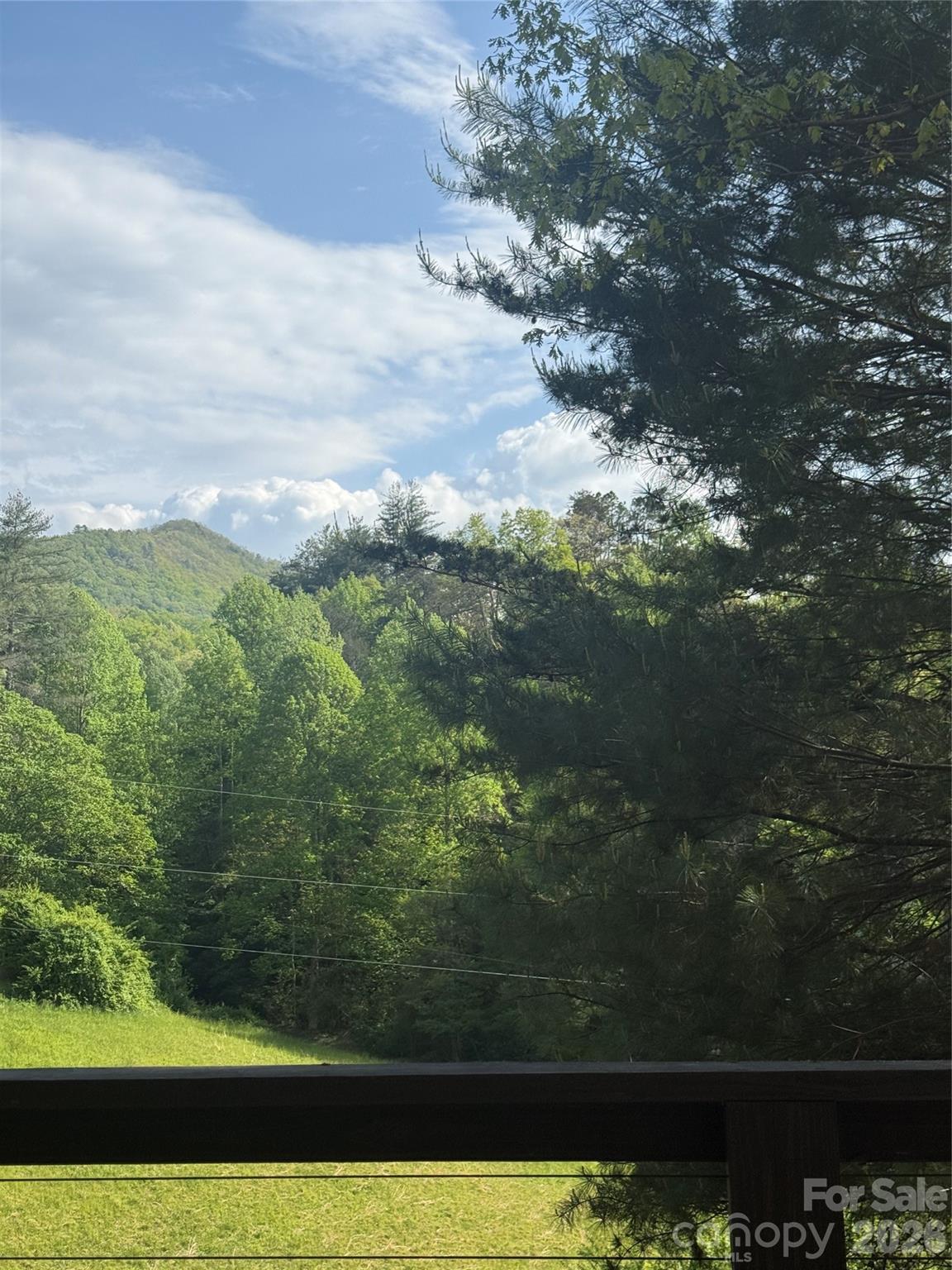 71 Mountain Trace Point — Bryson City