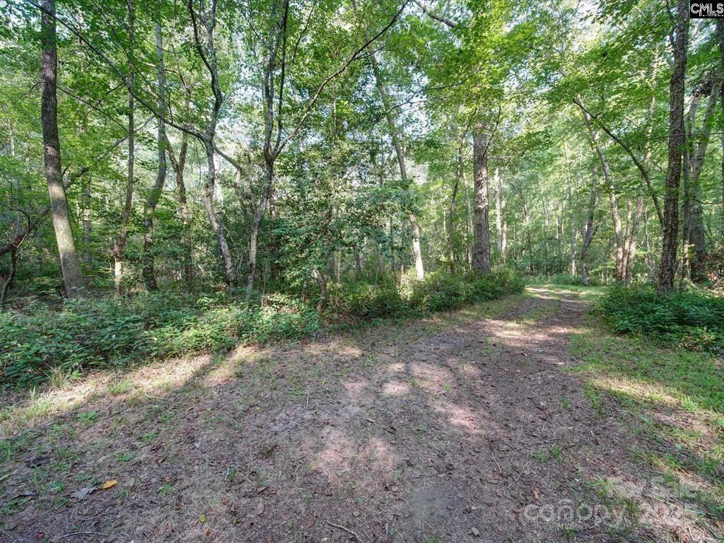1239 John G Richards Road — Camden