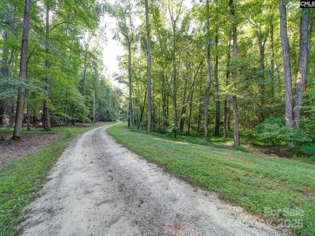 1239 John G Richards Road — Camden
