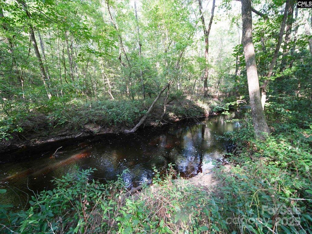 1239 John G Richards Road — Camden
