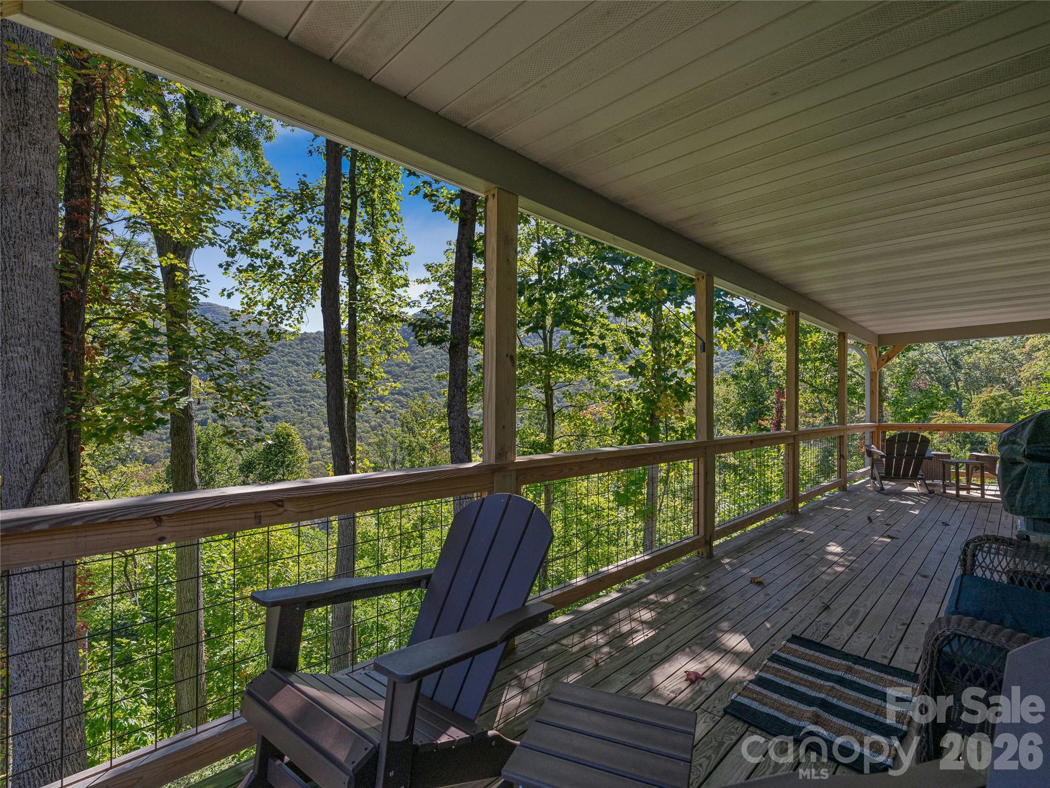 382 Black Oak Cove Road — Candler