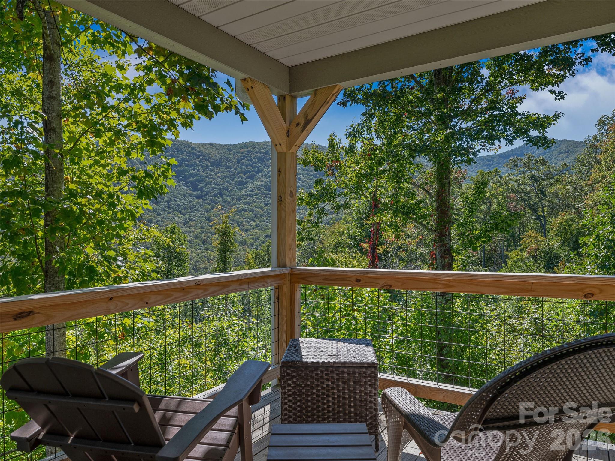 382 Black Oak Cove Road — Candler