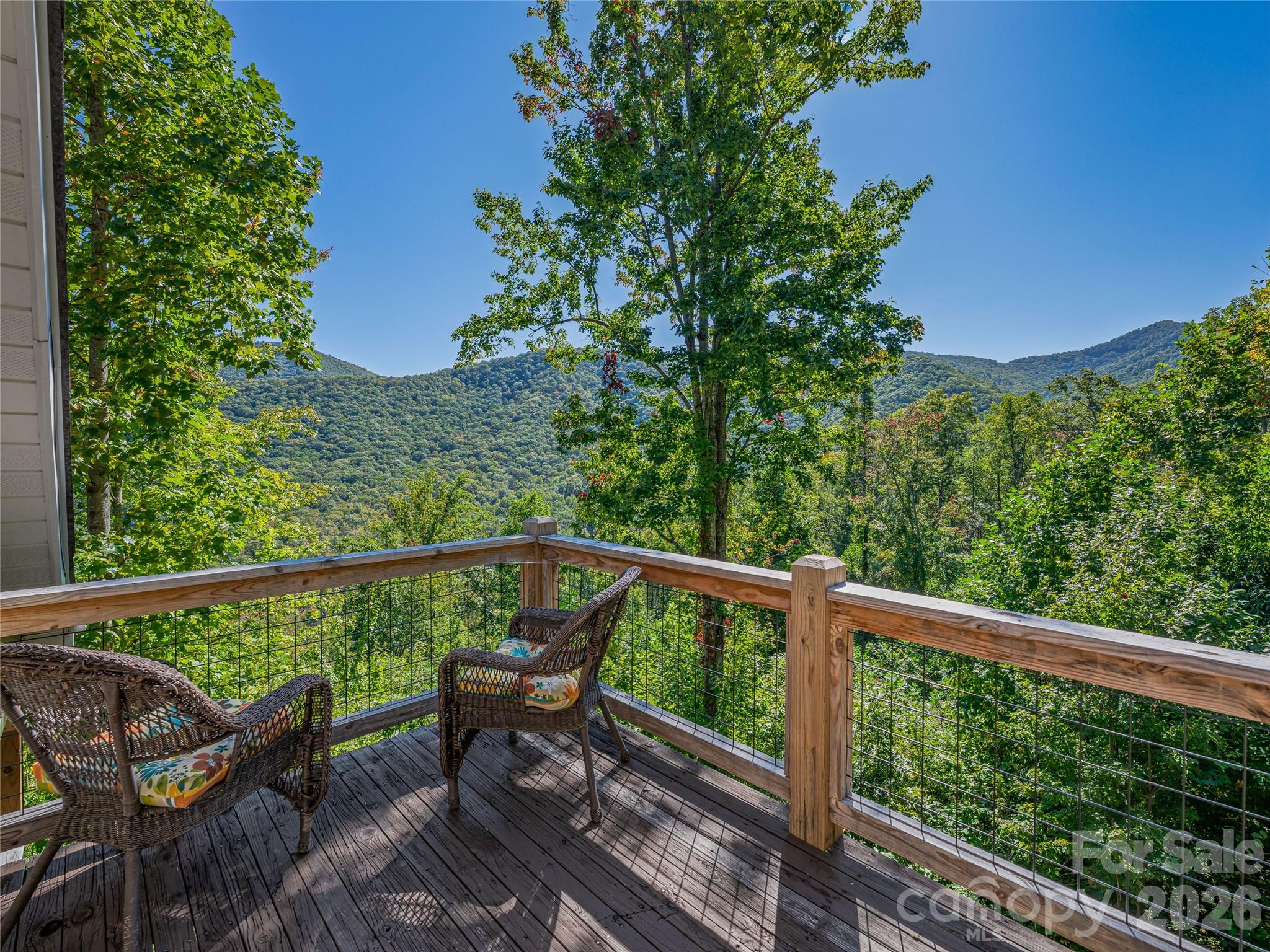 382 Black Oak Cove Road — Candler