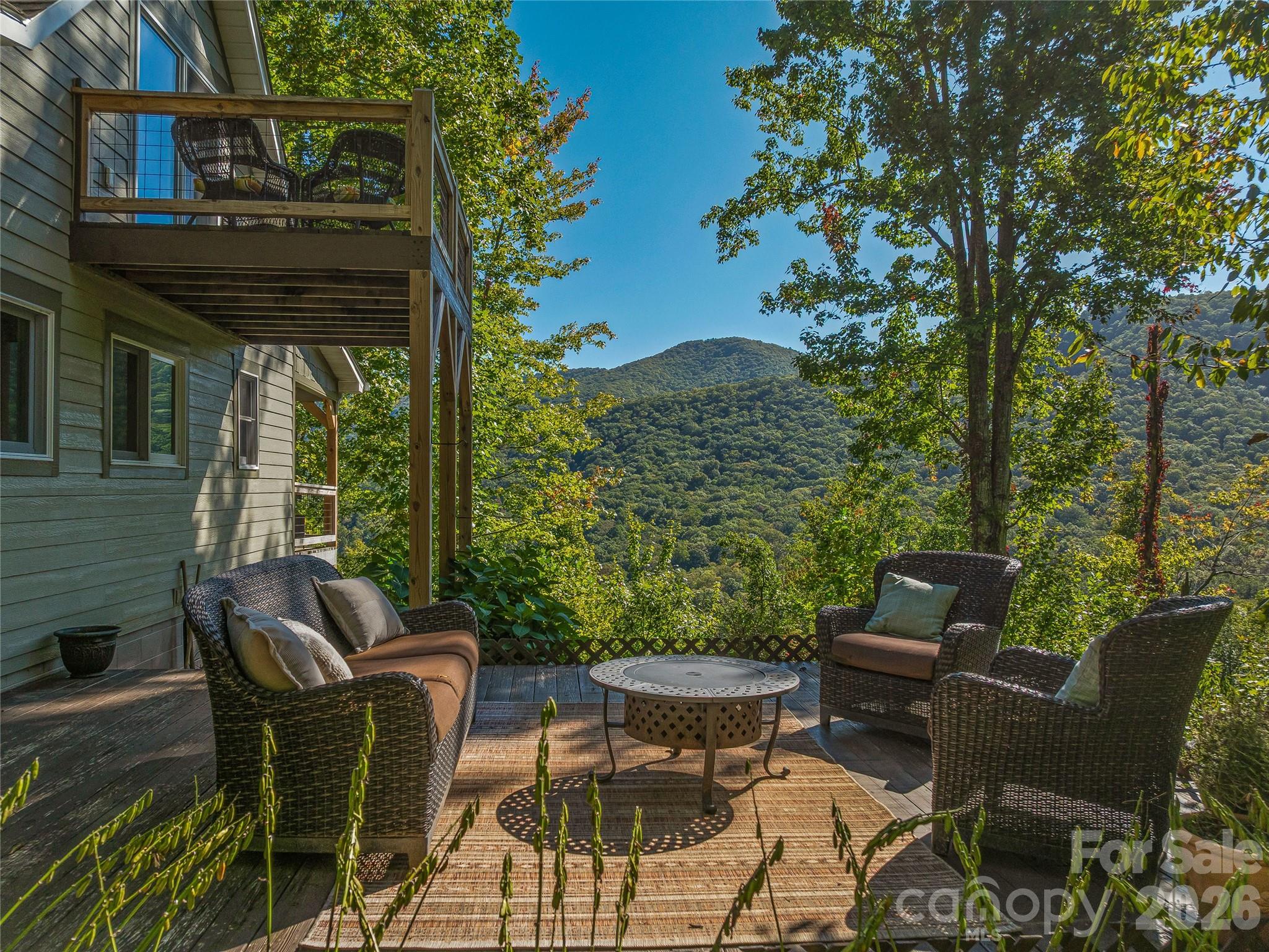 382 Black Oak Cove Road — Candler