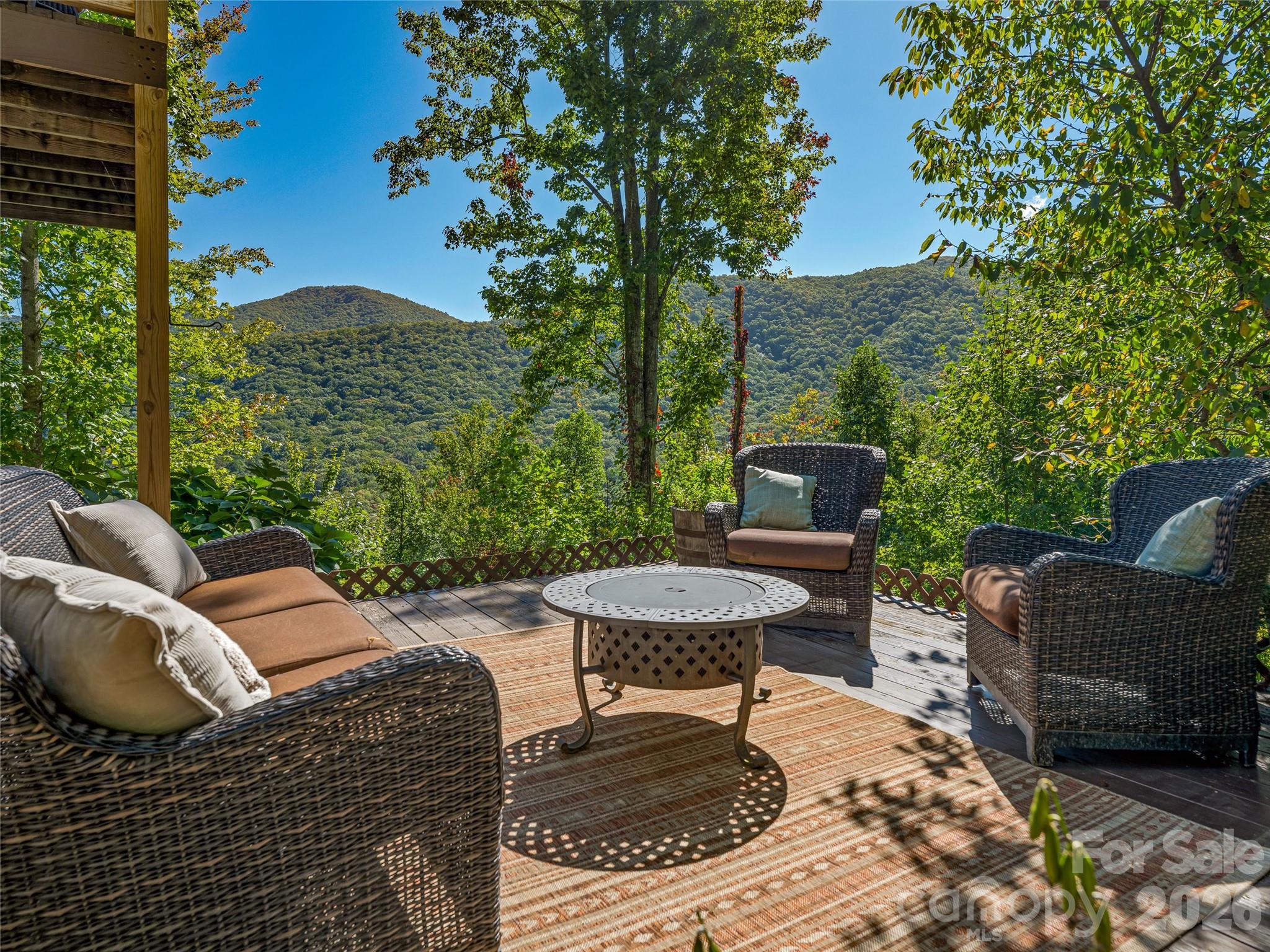 382 Black Oak Cove Road — Candler