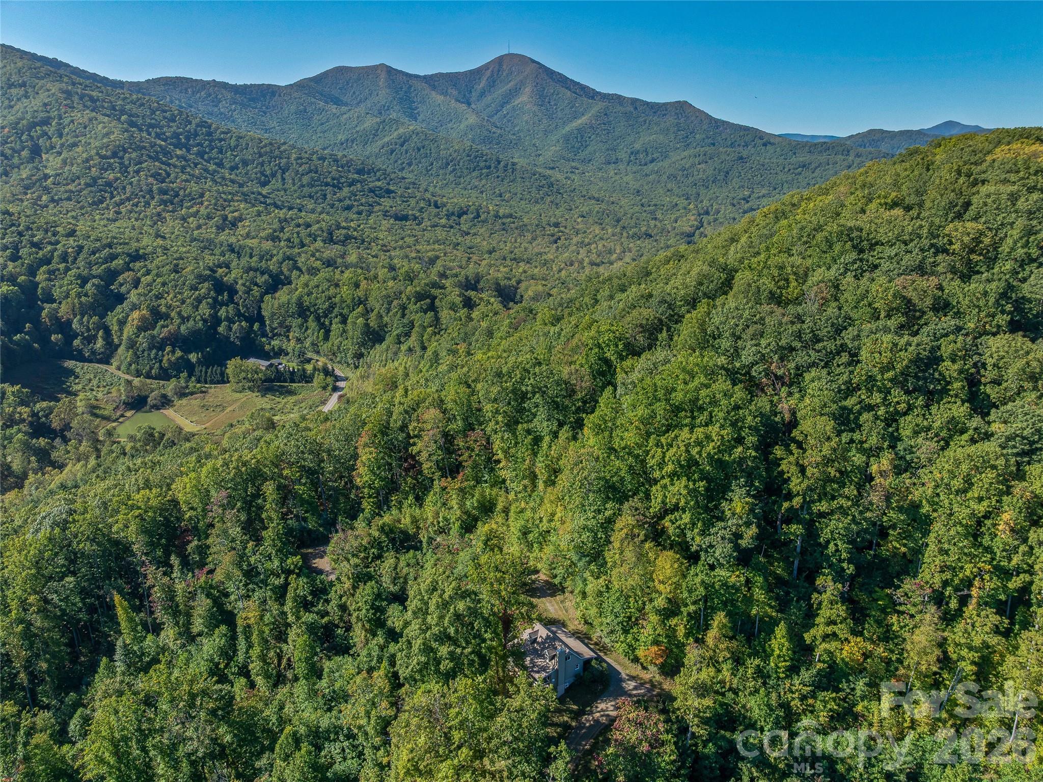 382 Black Oak Cove Road — Candler
