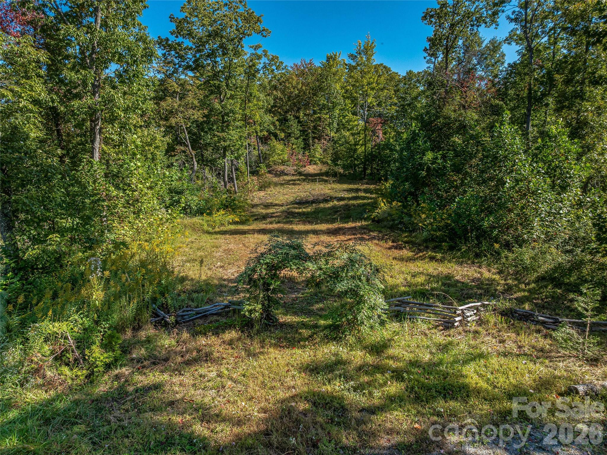 382 Black Oak Cove Road — Candler