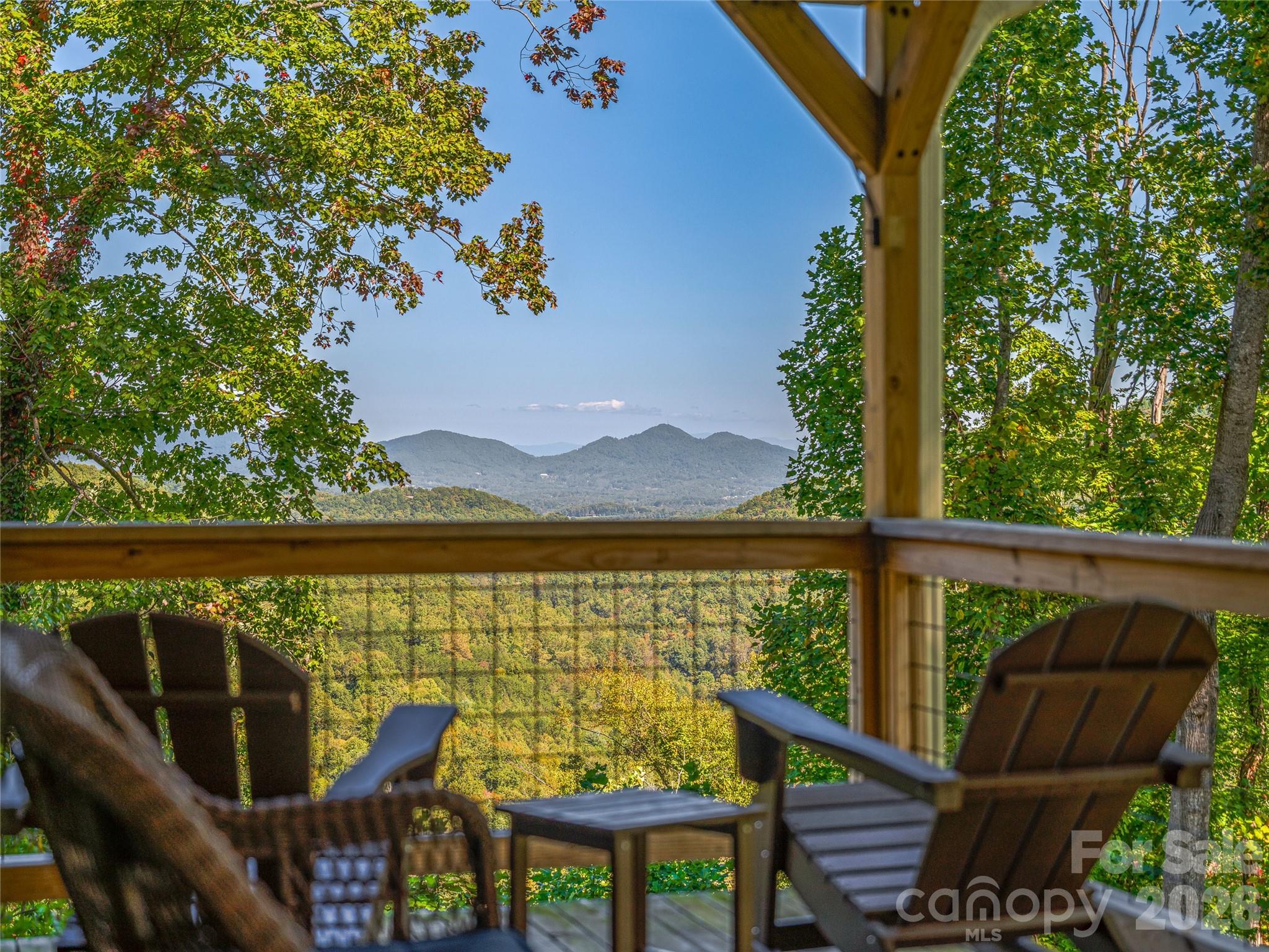 382 Black Oak Cove Road — Candler