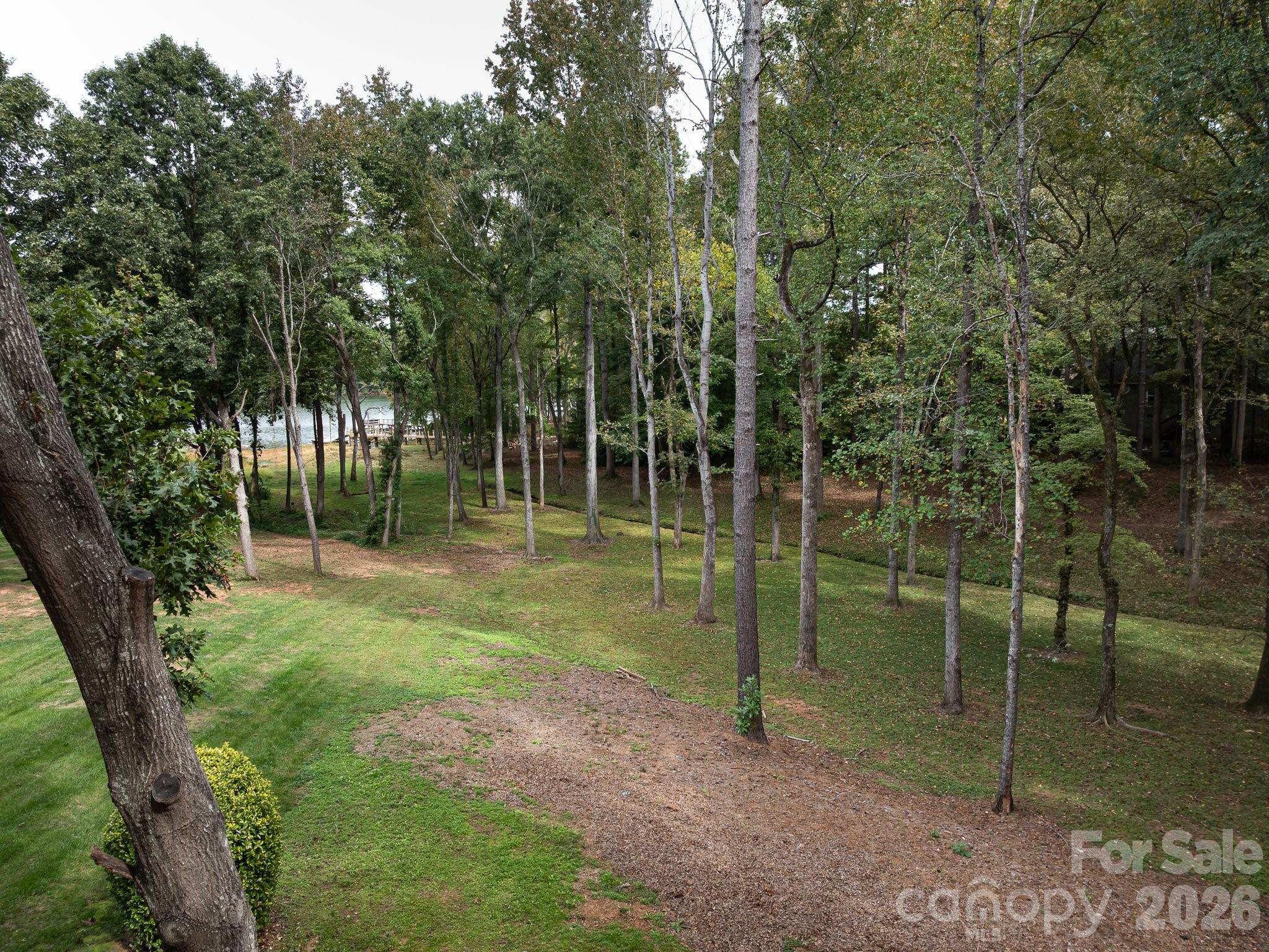 5619 Mountain Point Lane — Charlotte