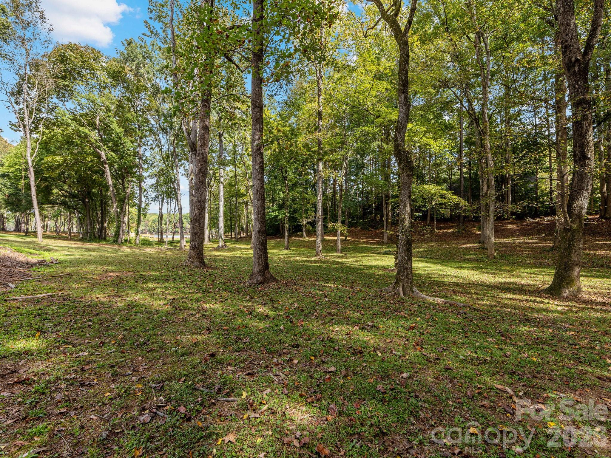 5619 Mountain Point Lane — Charlotte