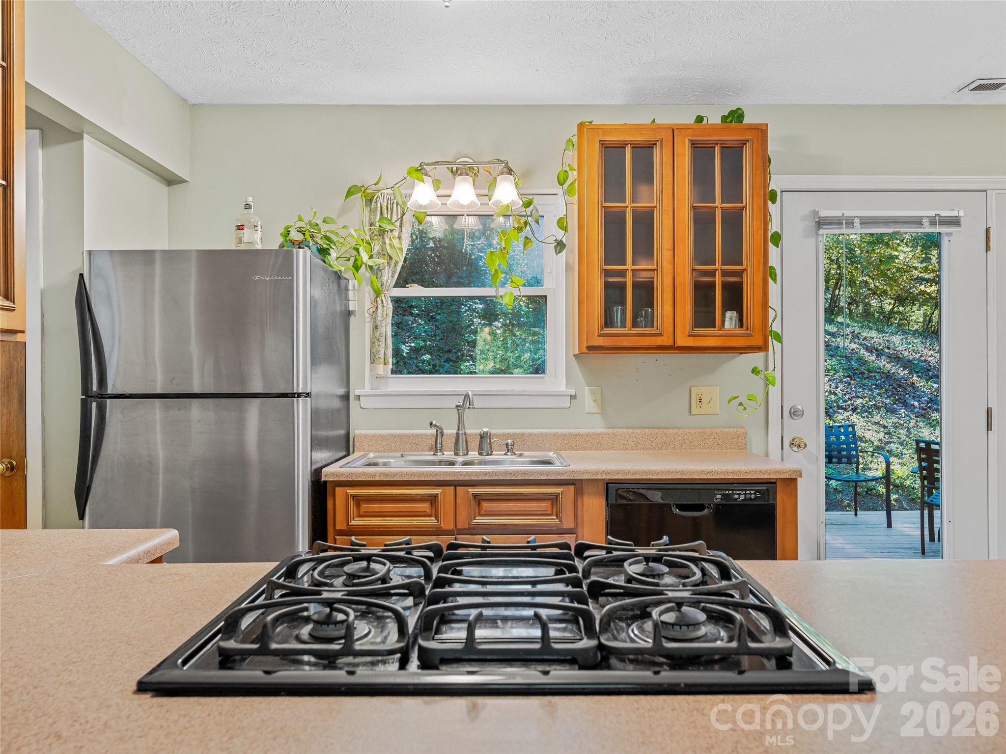 5 West Cove Street — Weaverville