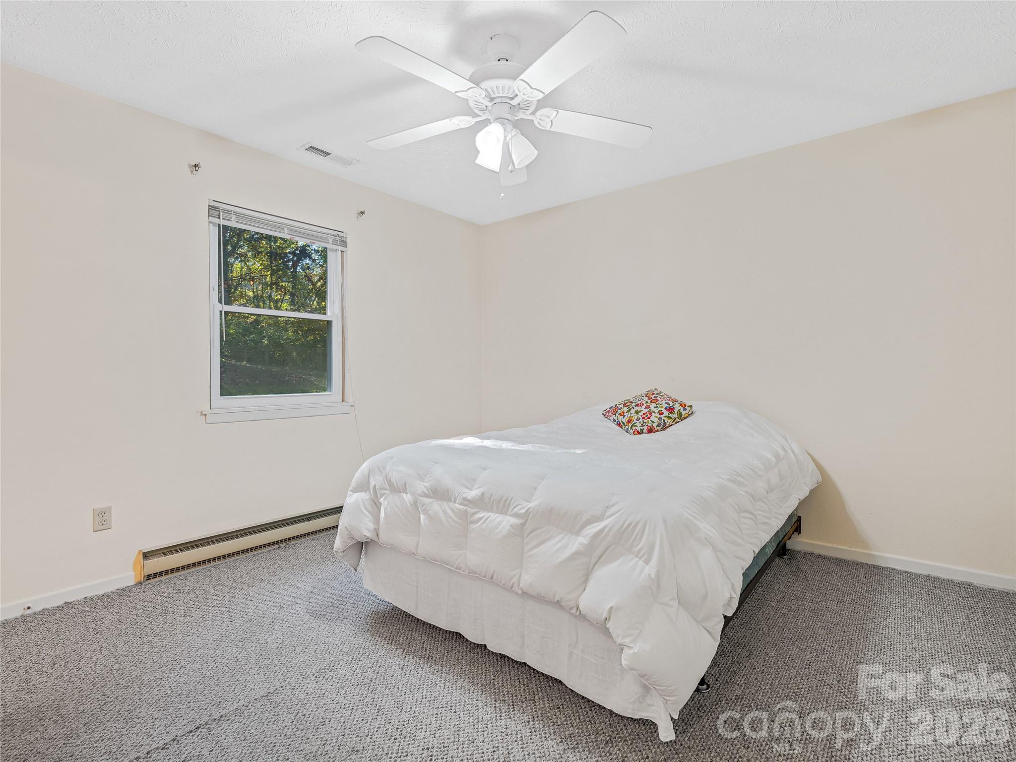 5 West Cove Street — Weaverville