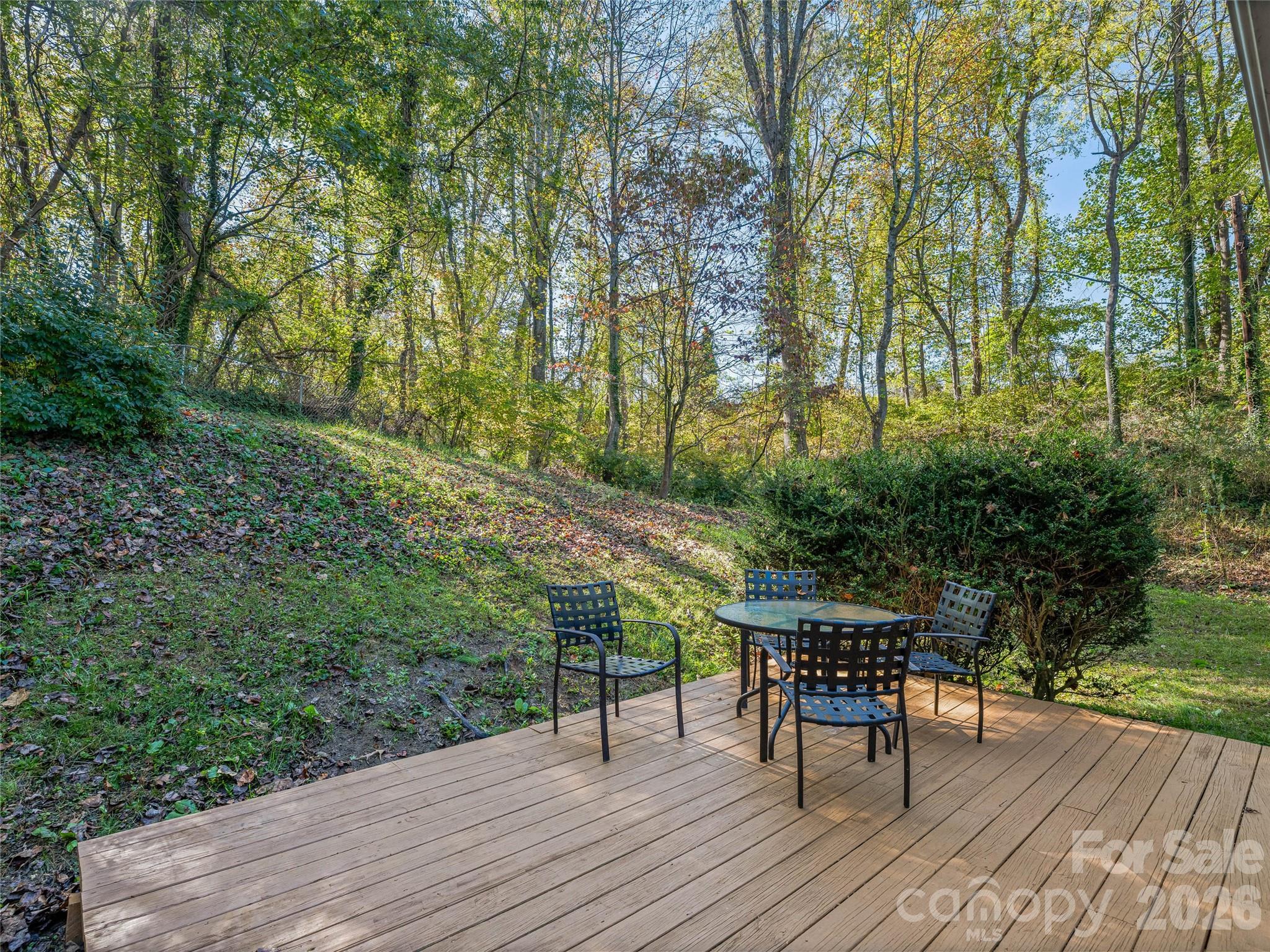 5 West Cove Street — Weaverville