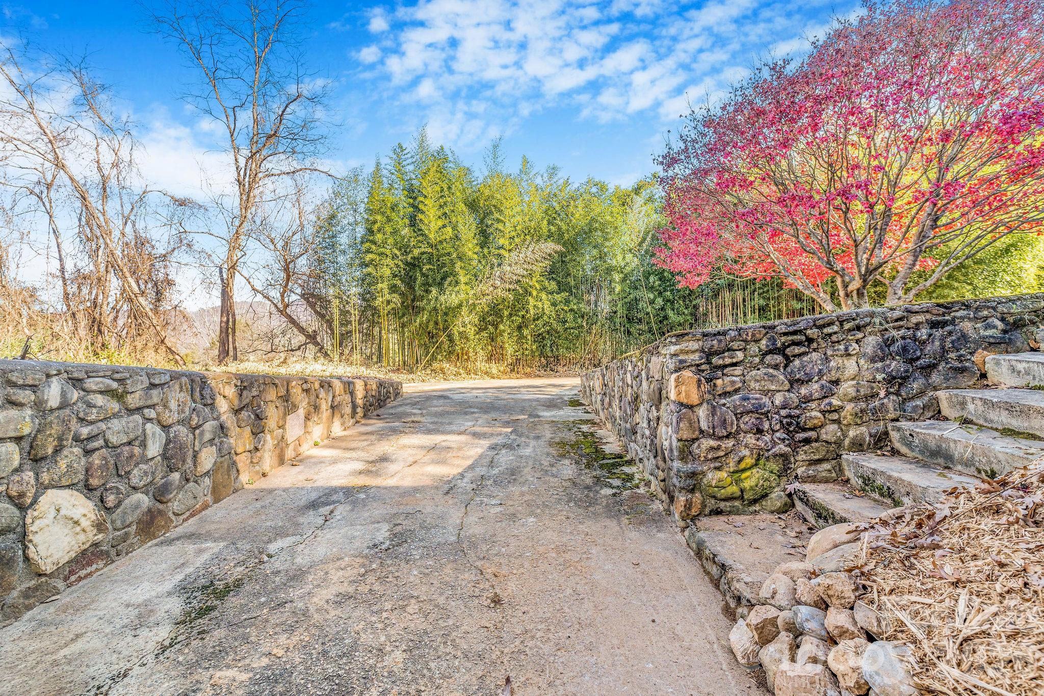 107 Woodland Church Road — Clyde