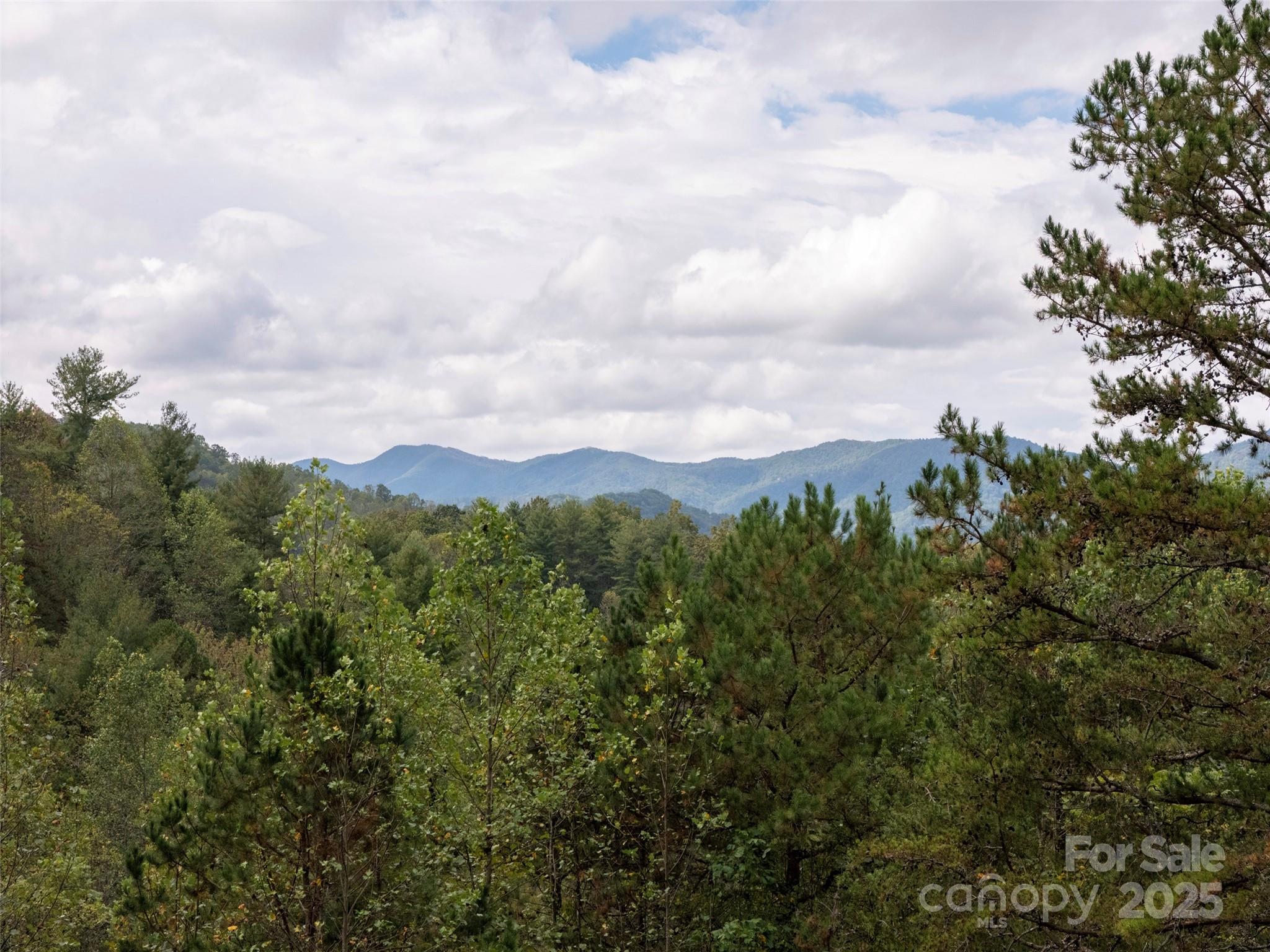 81 Mount Airy Road — Marshall