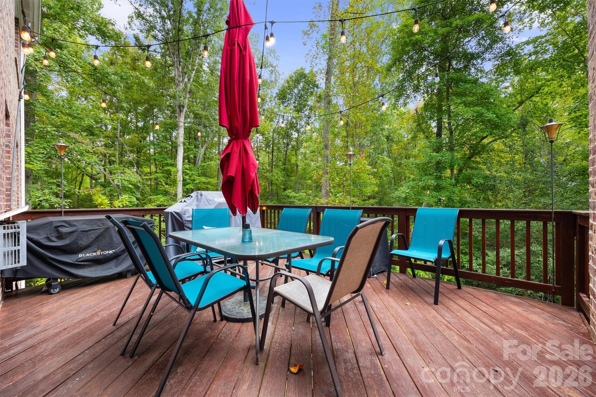 4237 Little Fork Cove Road — Denver