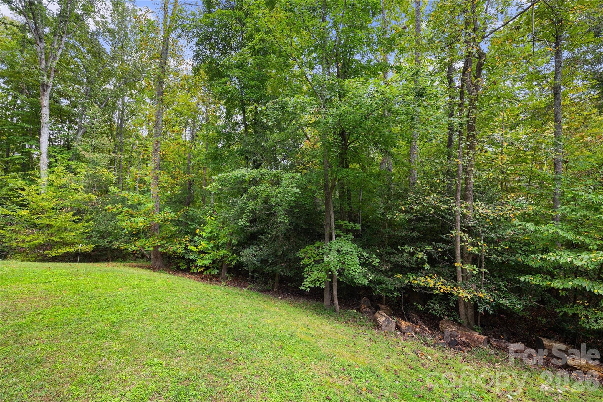 4237 Little Fork Cove Road — Denver