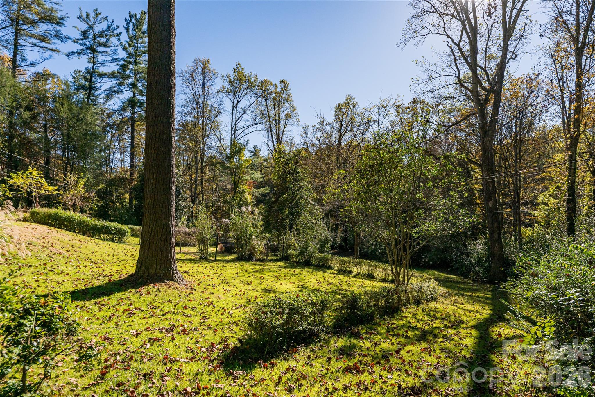 325 Vanderbilt Road — Asheville