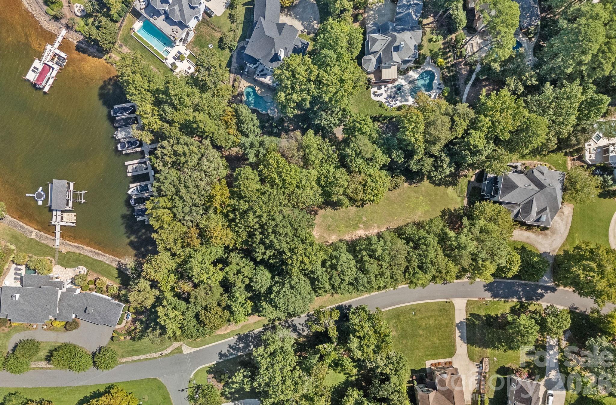 19002 Lakehouse Pointe Drive — Cornelius