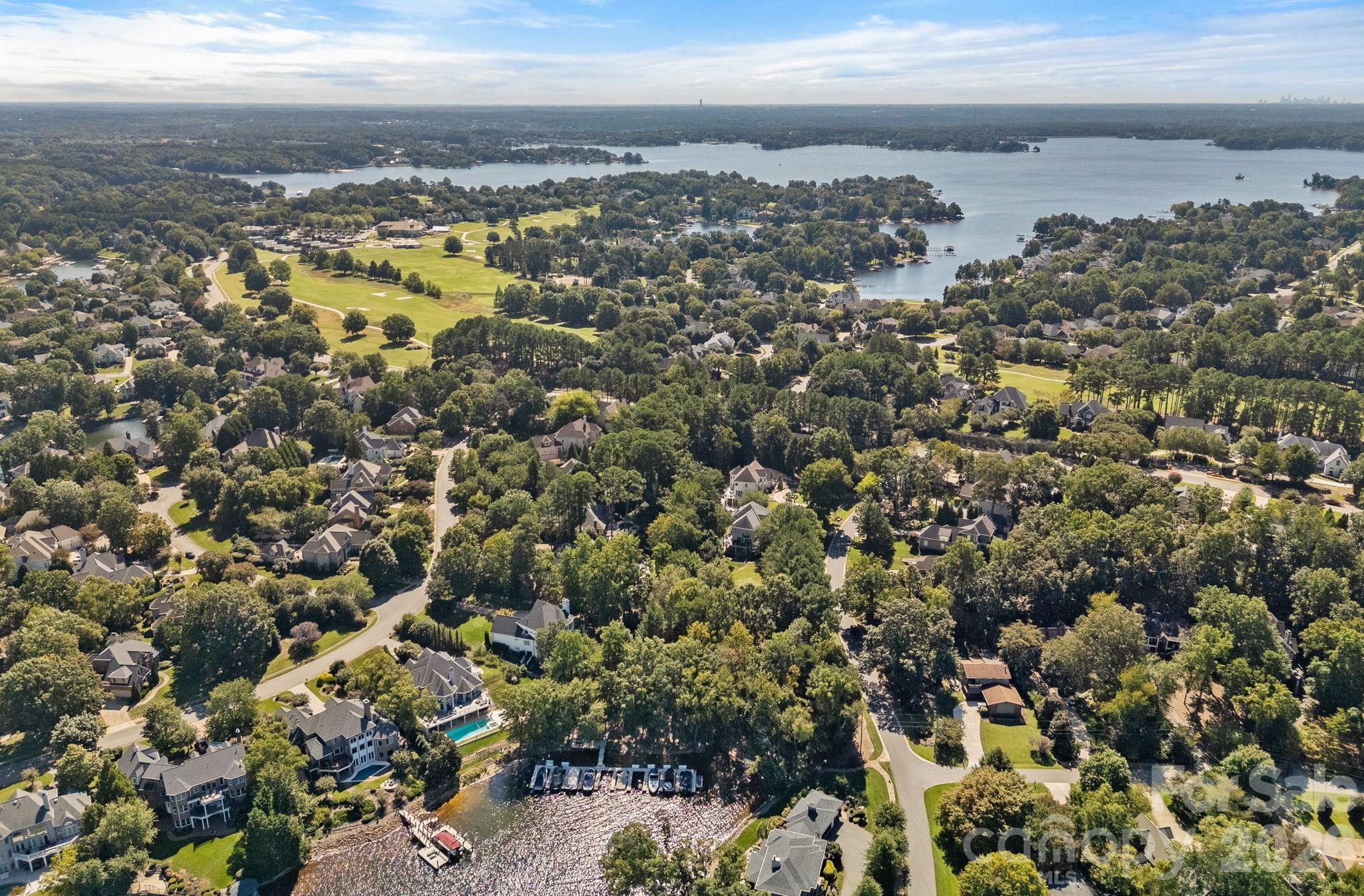 19002 Lakehouse Pointe Drive — Cornelius