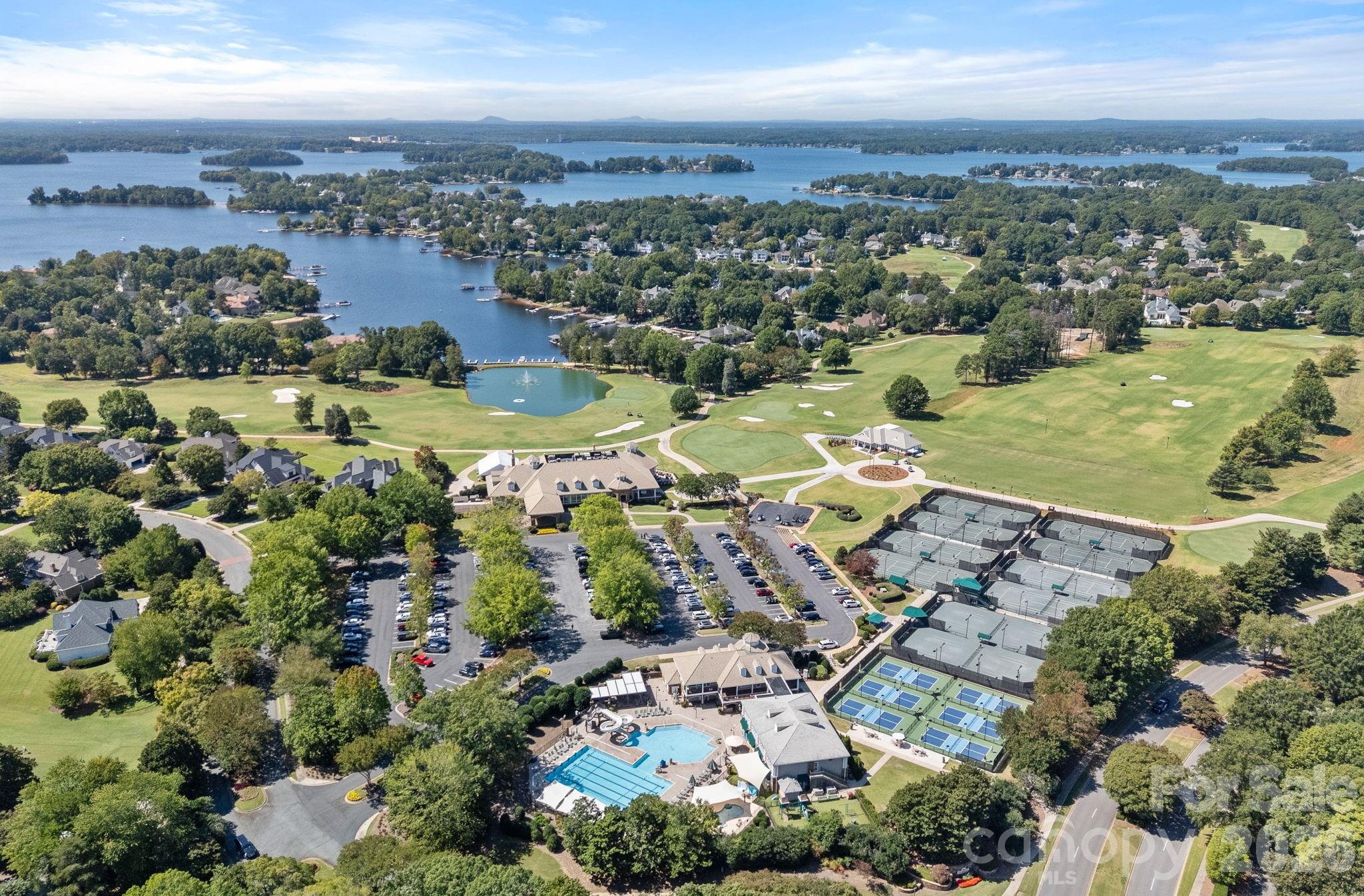 19002 Lakehouse Pointe Drive — Cornelius