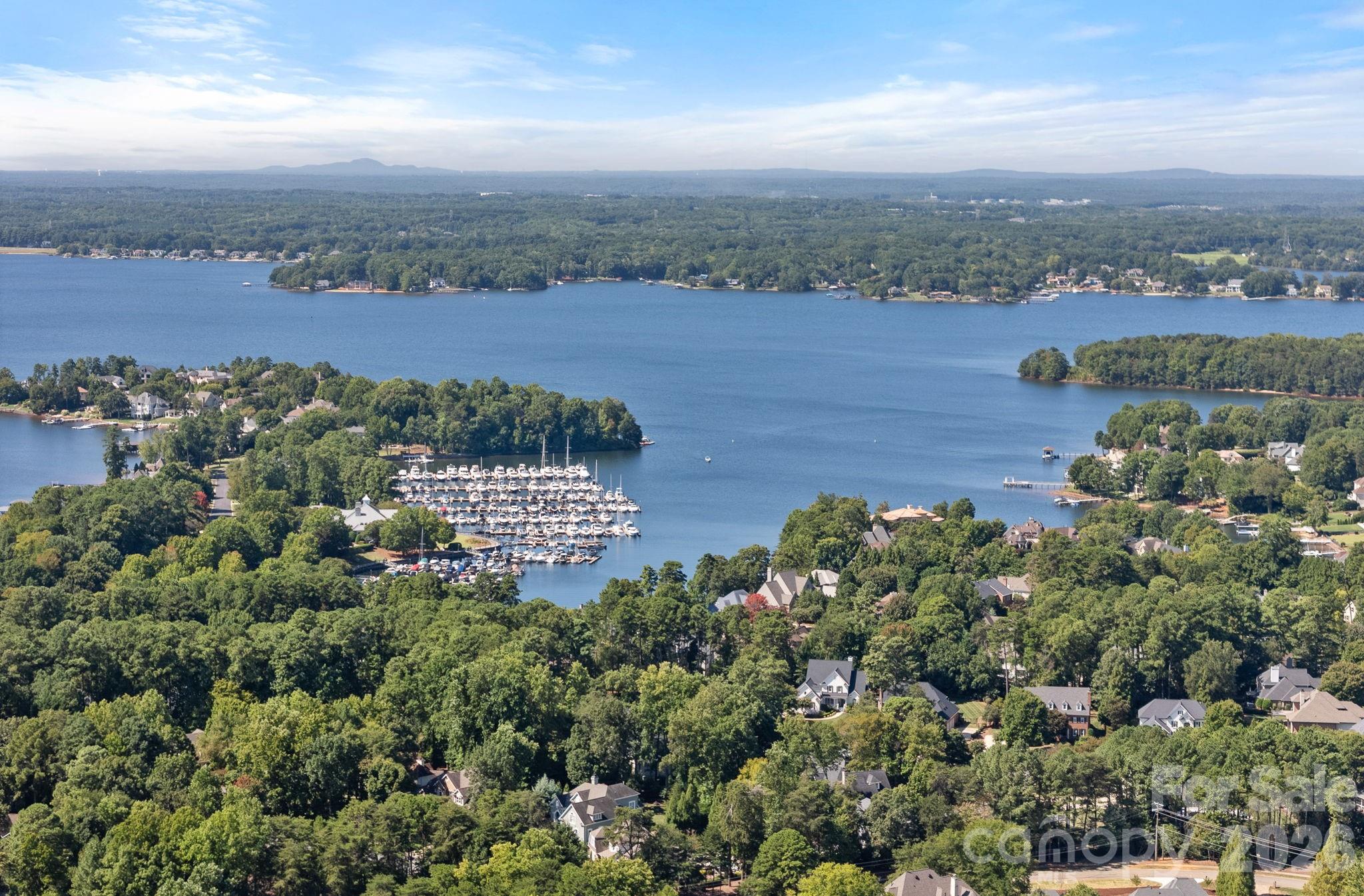 19002 Lakehouse Pointe Drive — Cornelius