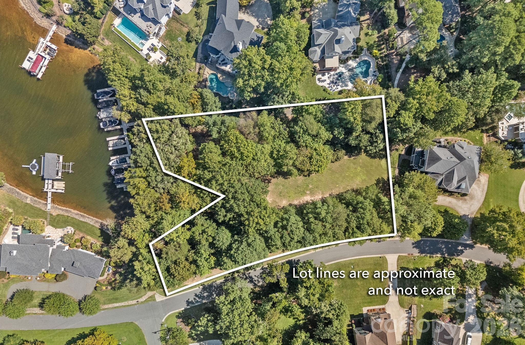 19002 Lakehouse Pointe Drive — Cornelius