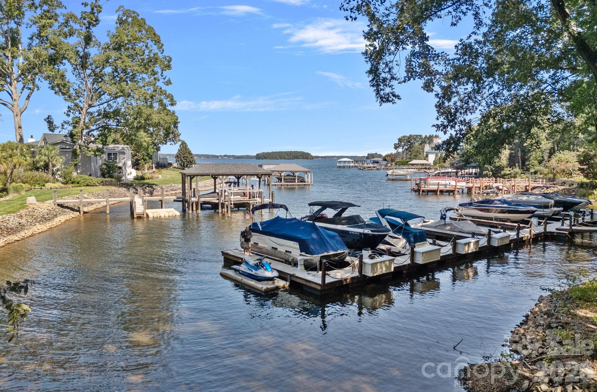 19002 Lakehouse Pointe Drive — Cornelius