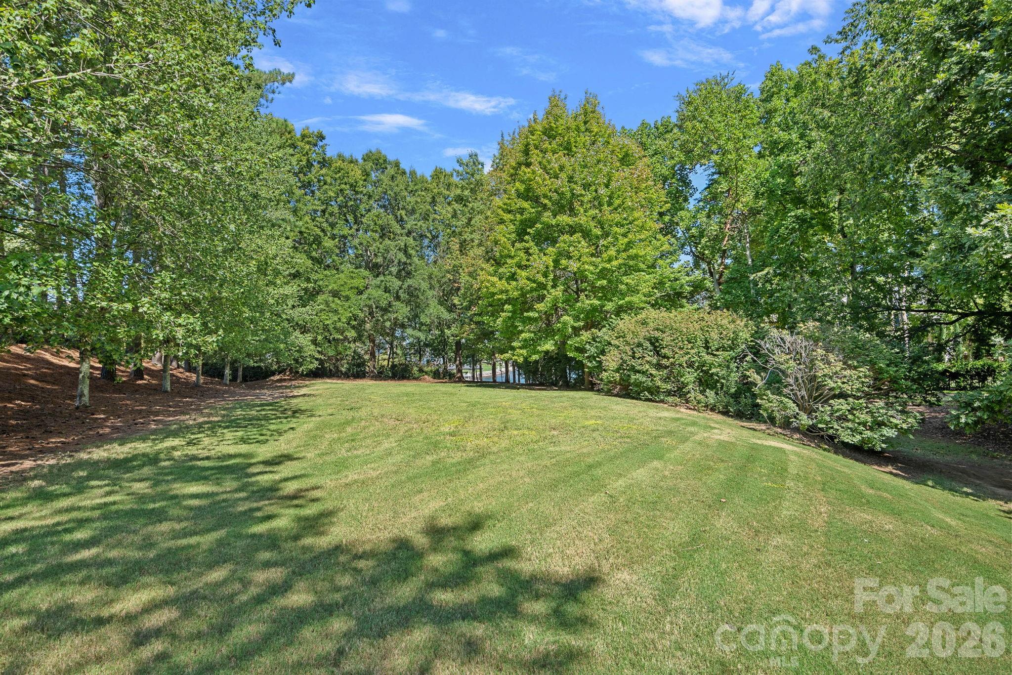 19002 Lakehouse Pointe Drive — Cornelius