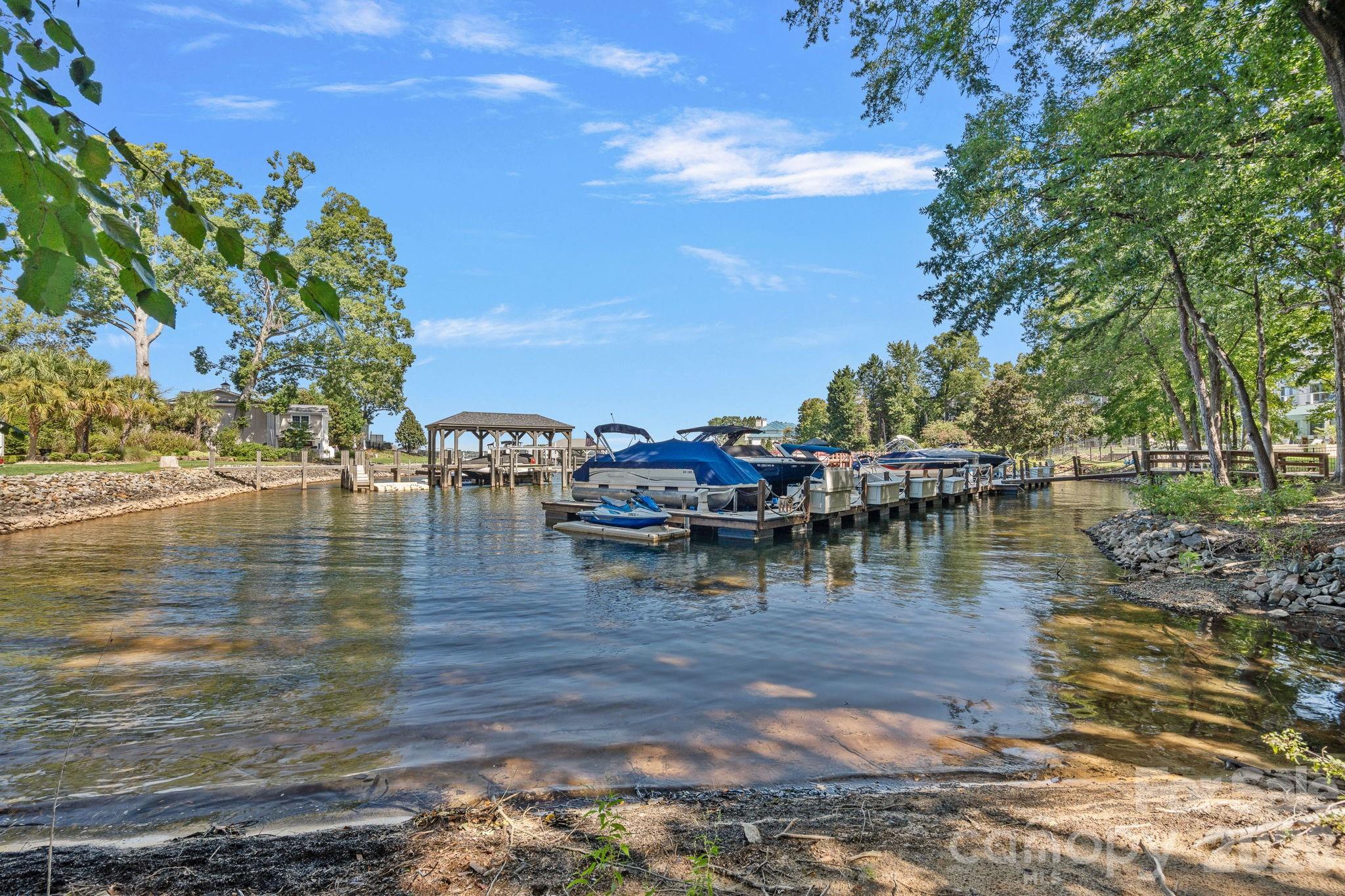 19002 Lakehouse Pointe Drive — Cornelius