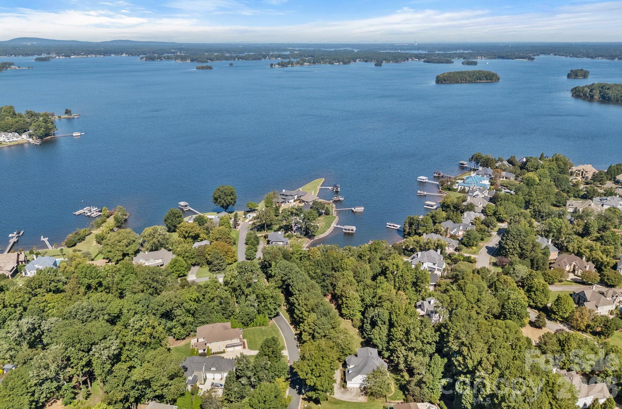 19002 Lakehouse Pointe Drive — Cornelius