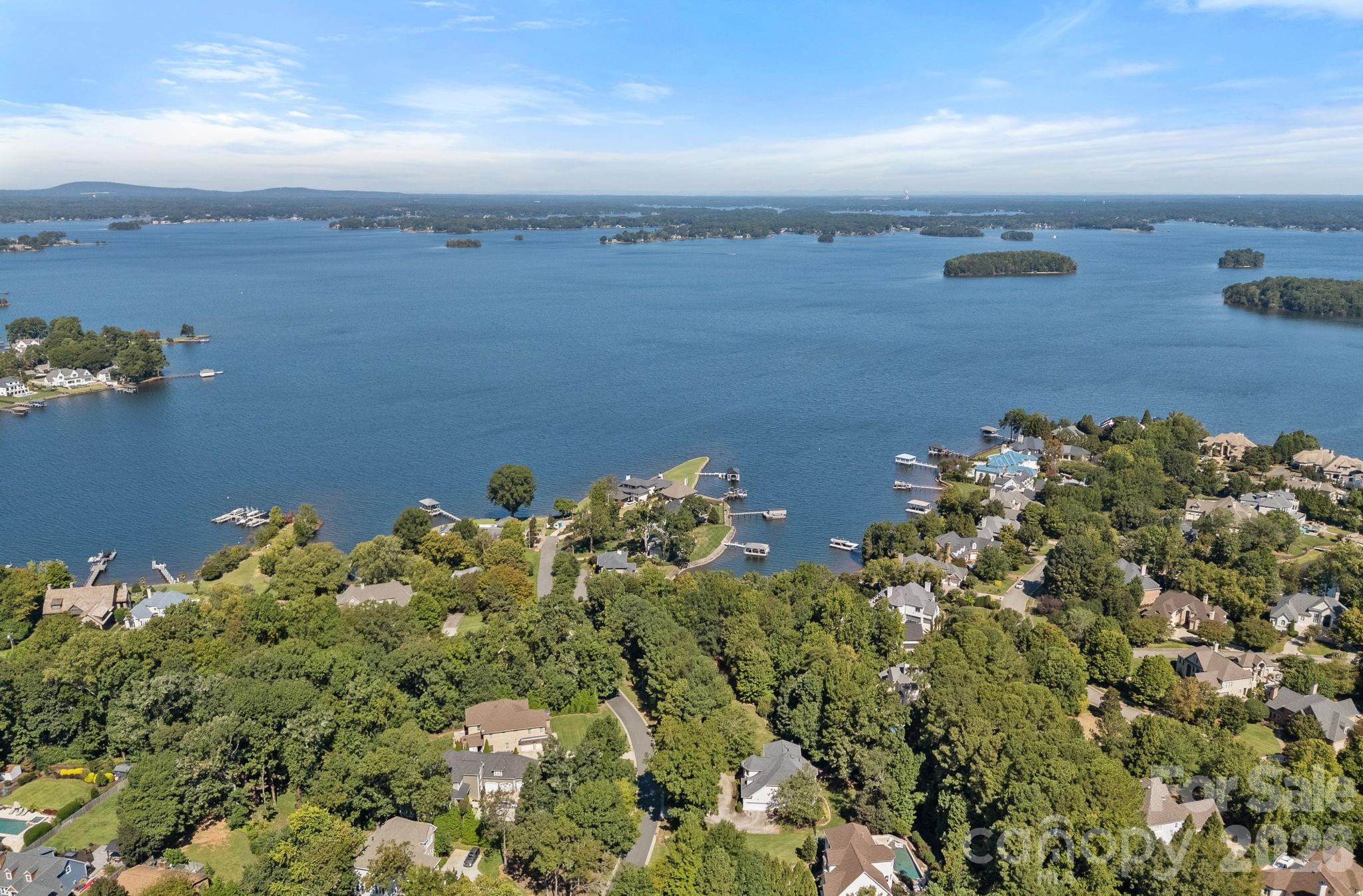 19002 Lakehouse Pointe Drive — Cornelius