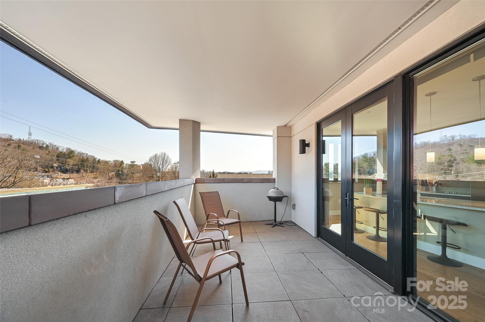 145 Biltmore Avenue #205 — Asheville