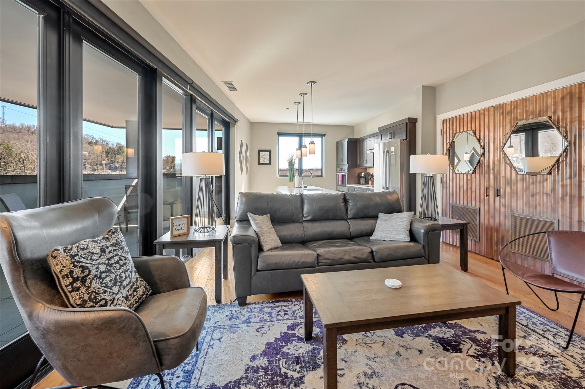 145 Biltmore Avenue #205 — Asheville