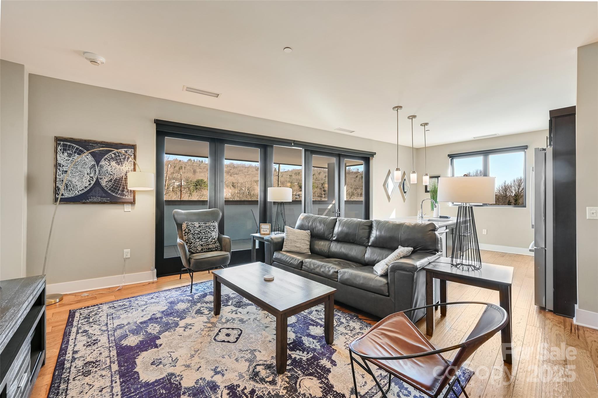 145 Biltmore Avenue #205 — Asheville