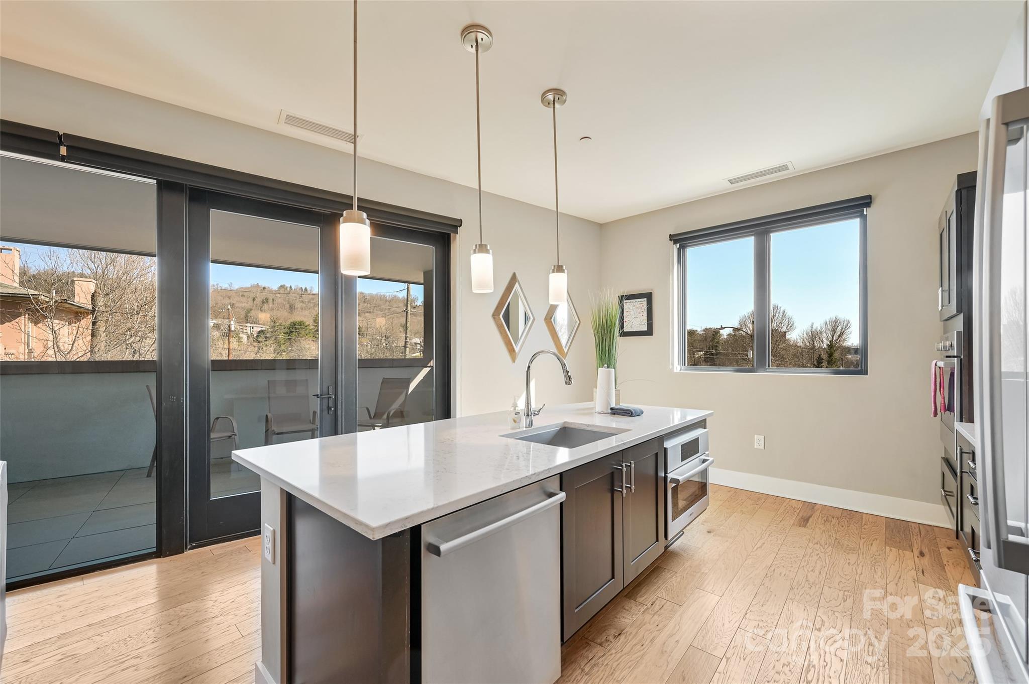 145 Biltmore Avenue #205 — Asheville