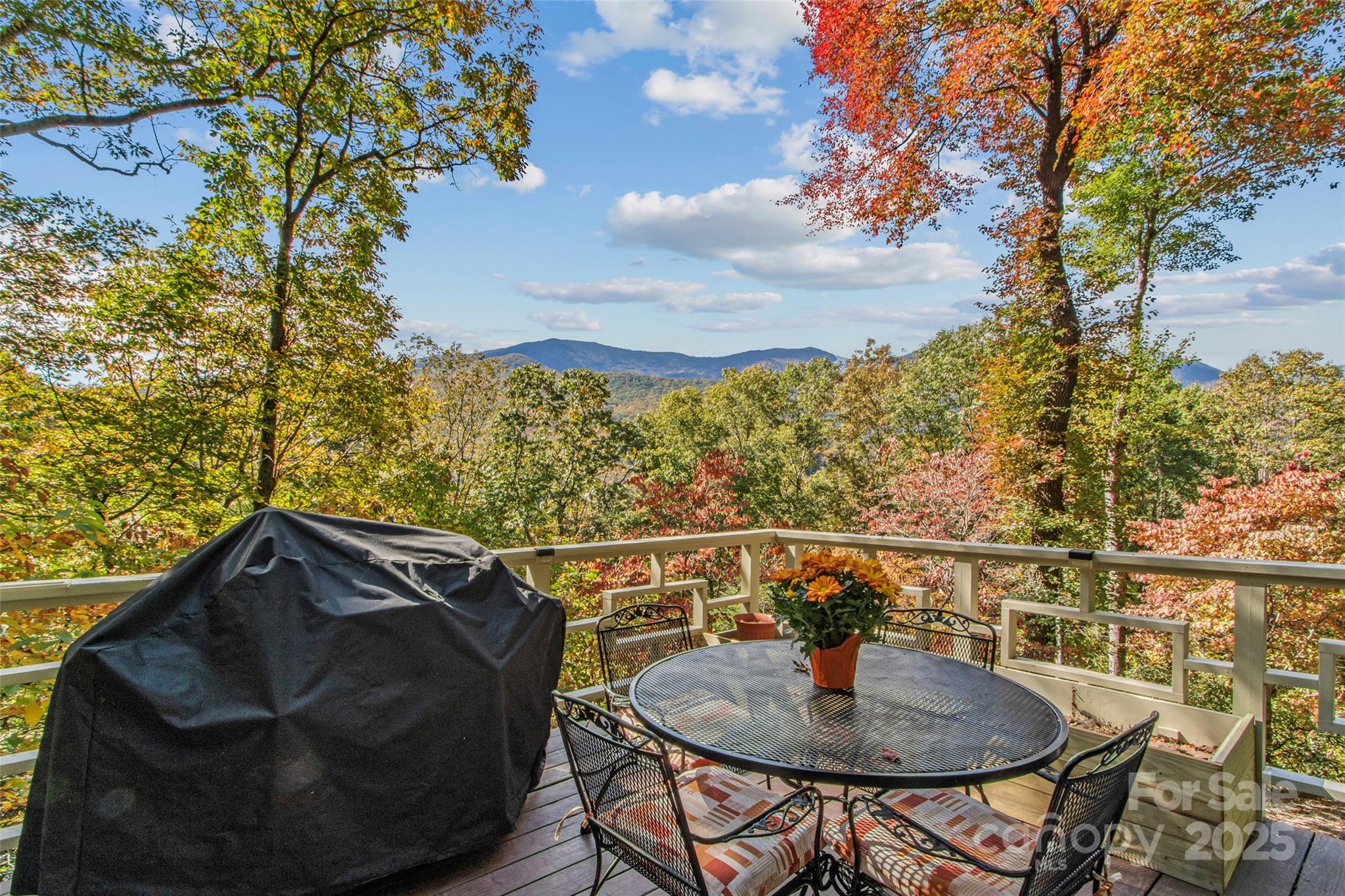 354 Big Ridge Road — Burnsville