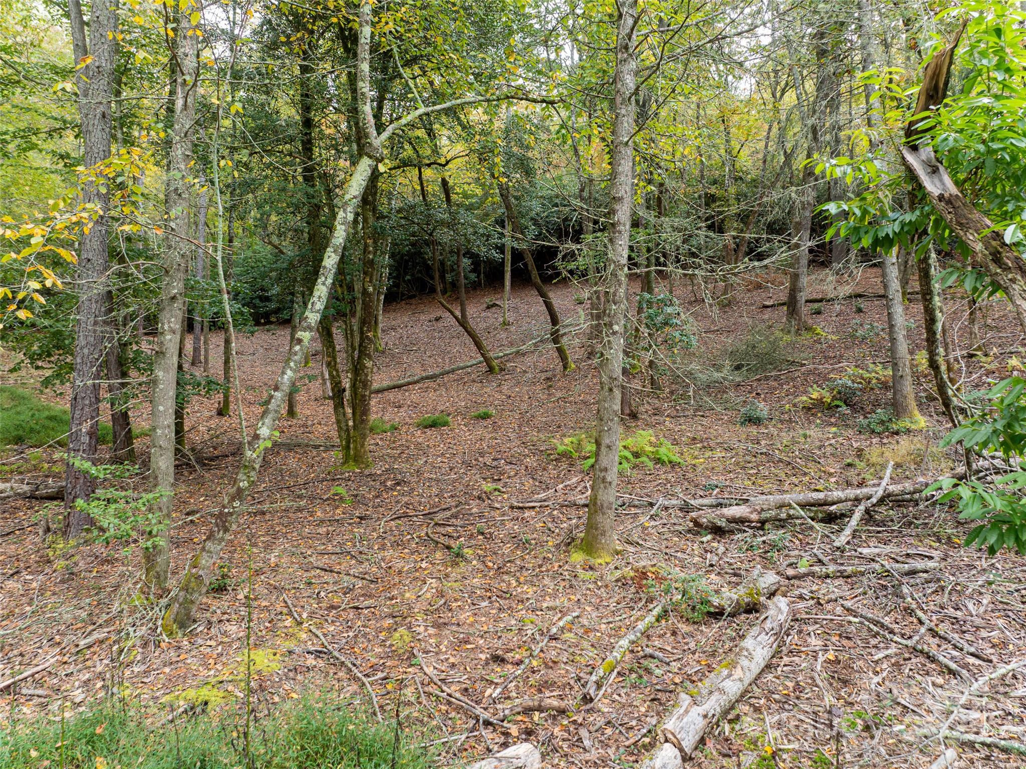 71 Happy Valley Drive — Mills River