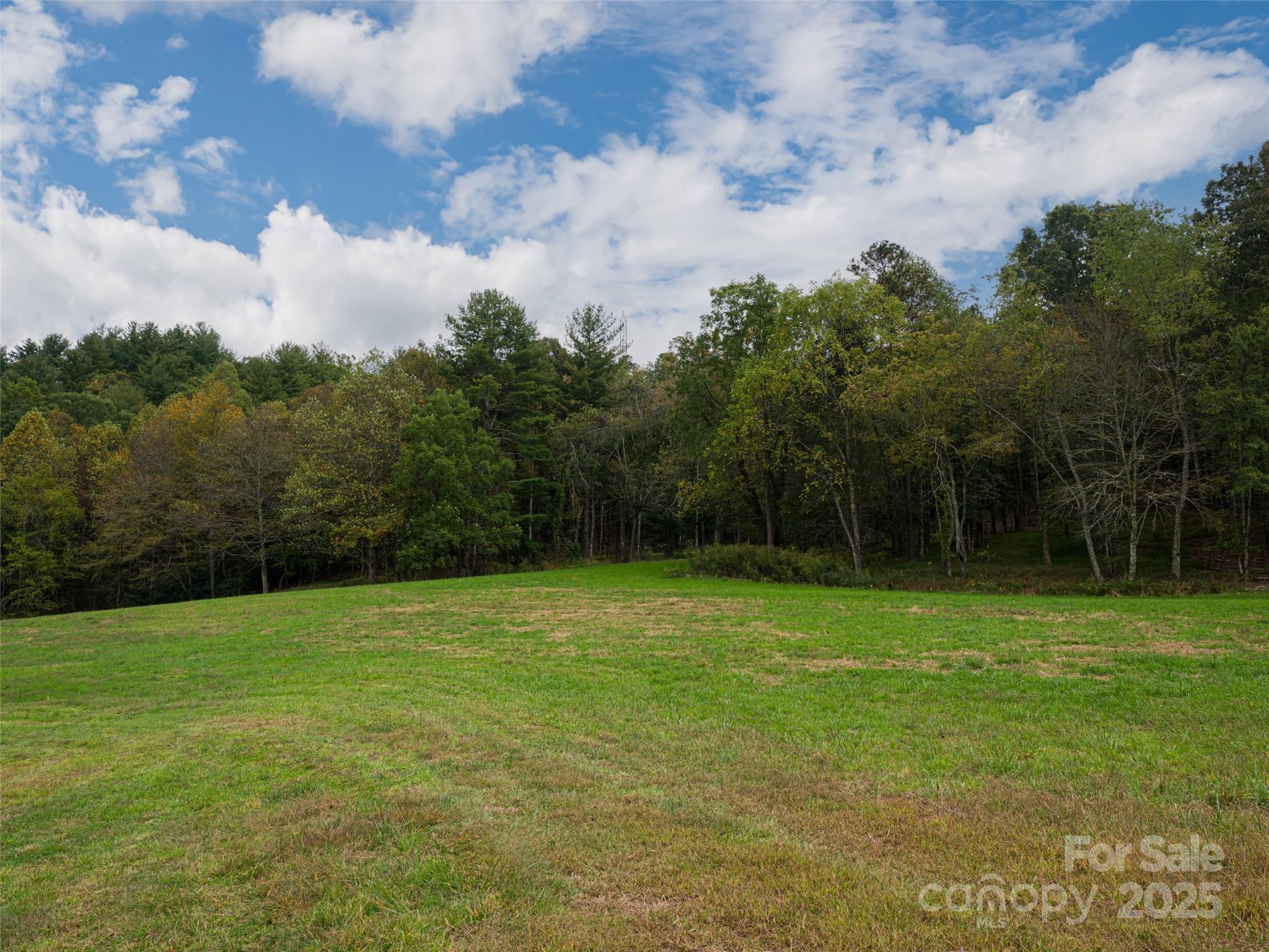 71 Happy Valley Drive — Mills River