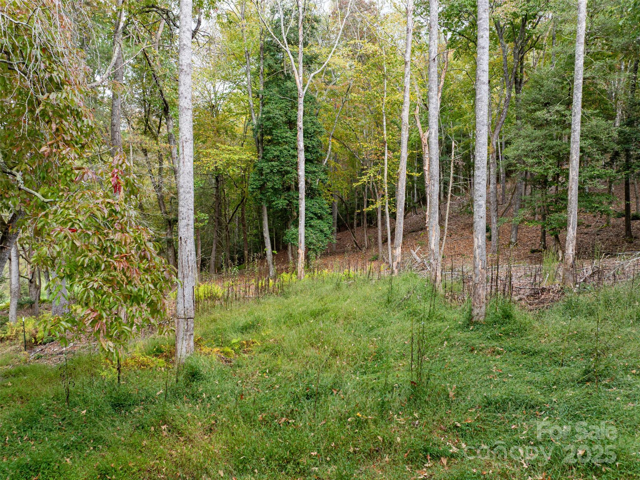 71 Happy Valley Drive — Mills River