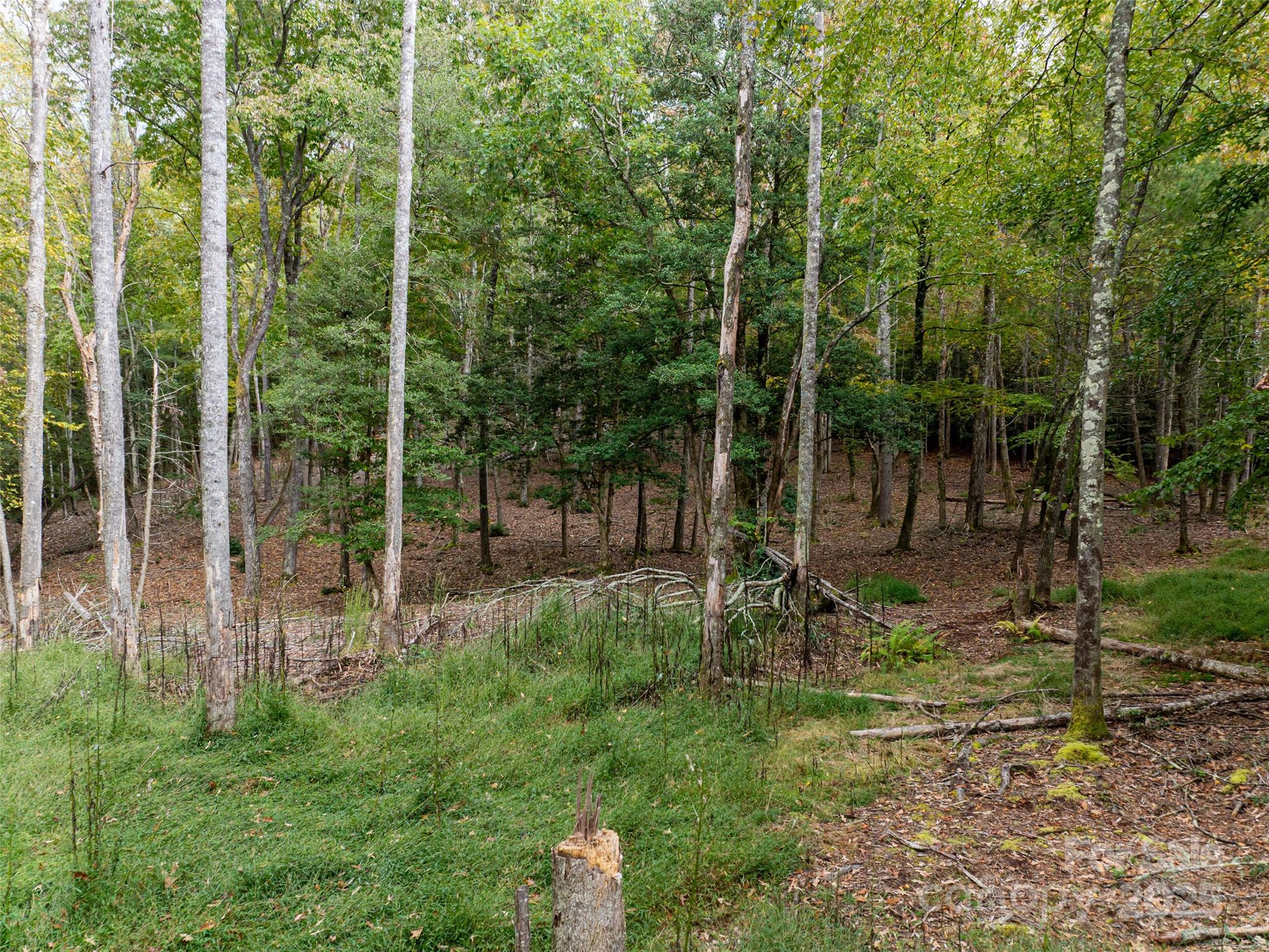 71 Happy Valley Drive — Mills River