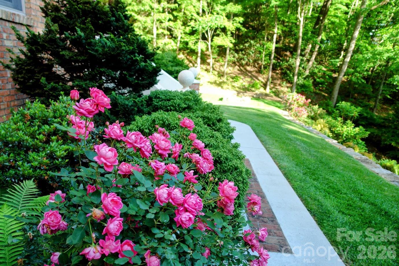 295 Laurel Ridge Drive — Waynesville