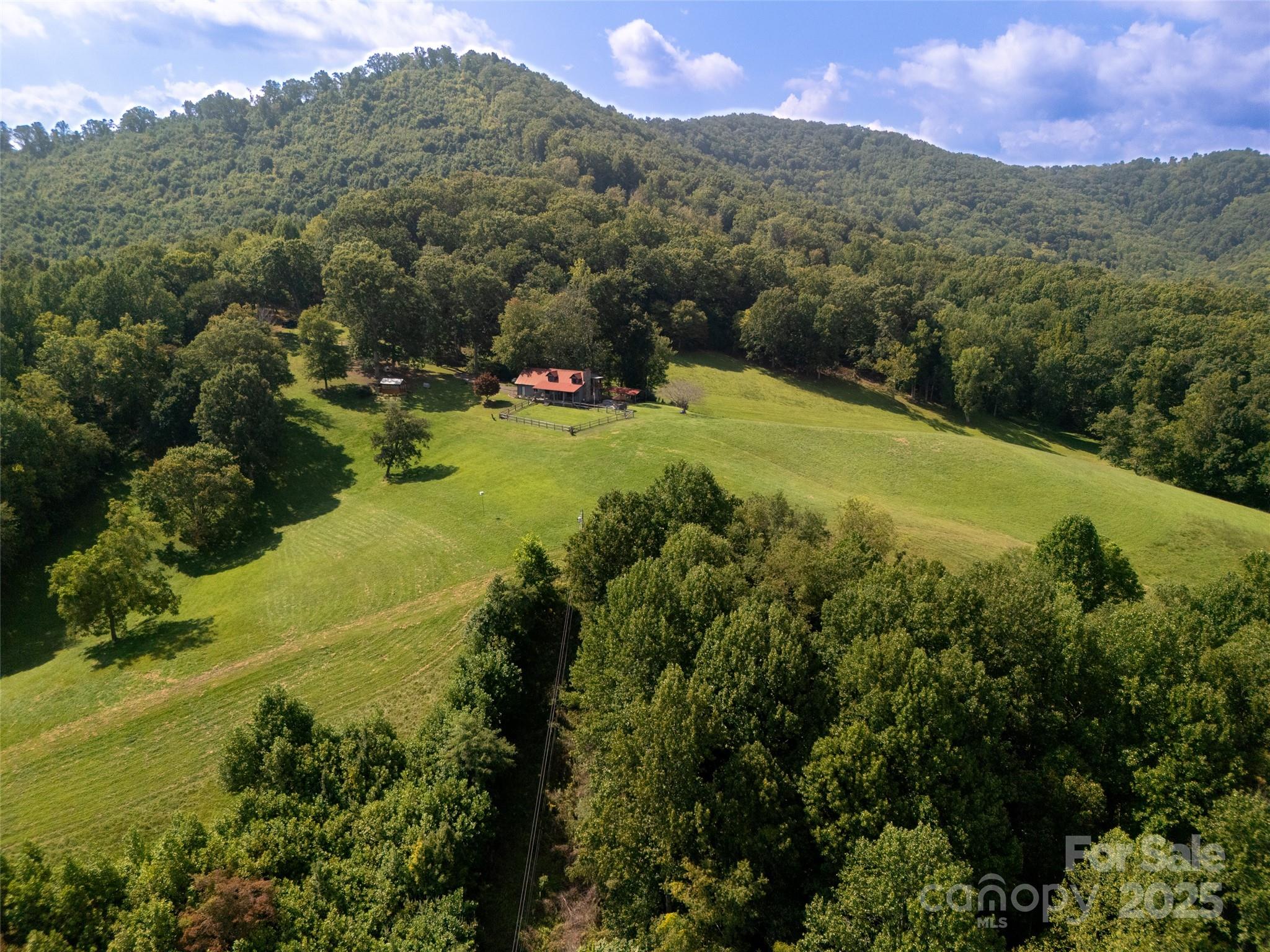 50 Holland Ridge Drive — Candler