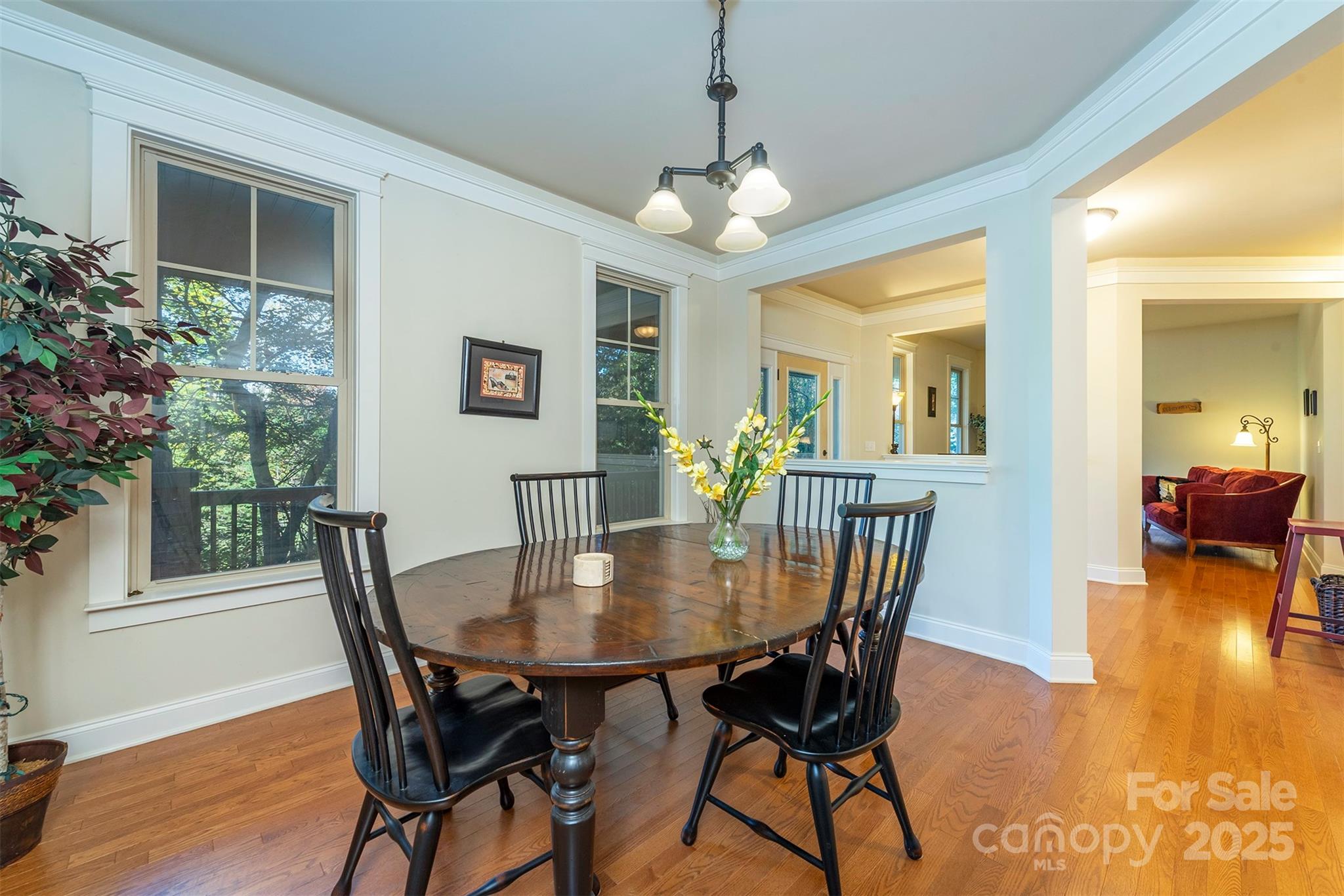 4 Yellow Owl Court — Biltmore Lake